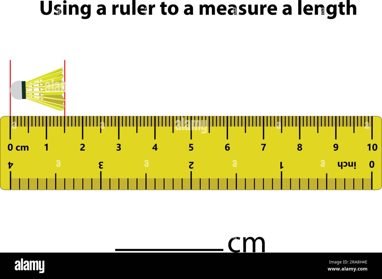 Measuring length in centimeters with the ruler. Education developing