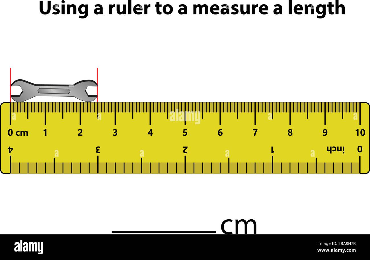 Measuring Length Centimeters Ruler Education Developing Worksheet Game Kids  Puzzle Stock Vector by ©20051985 664075314