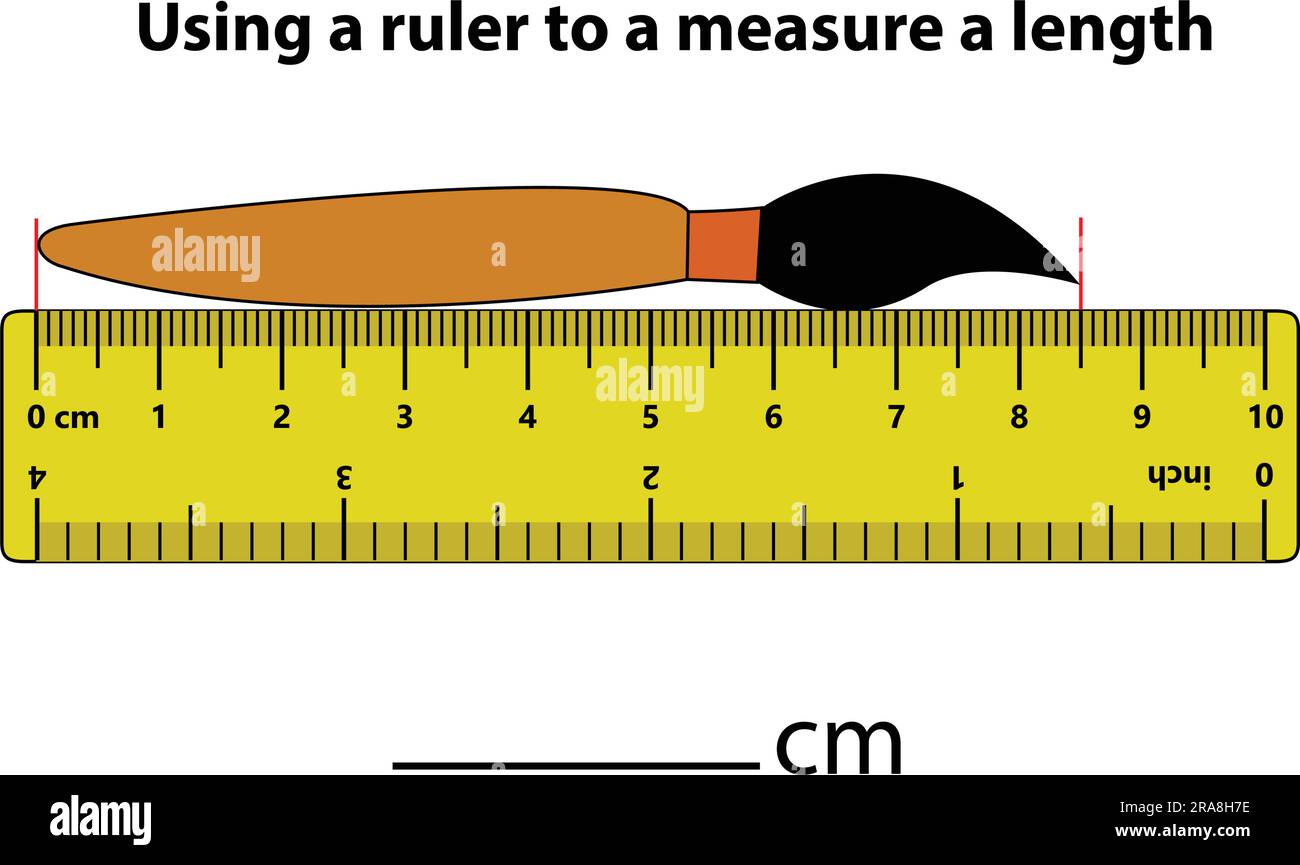 Measuring length in centimeters with the ruler. Education developing worksheet. Game for kids