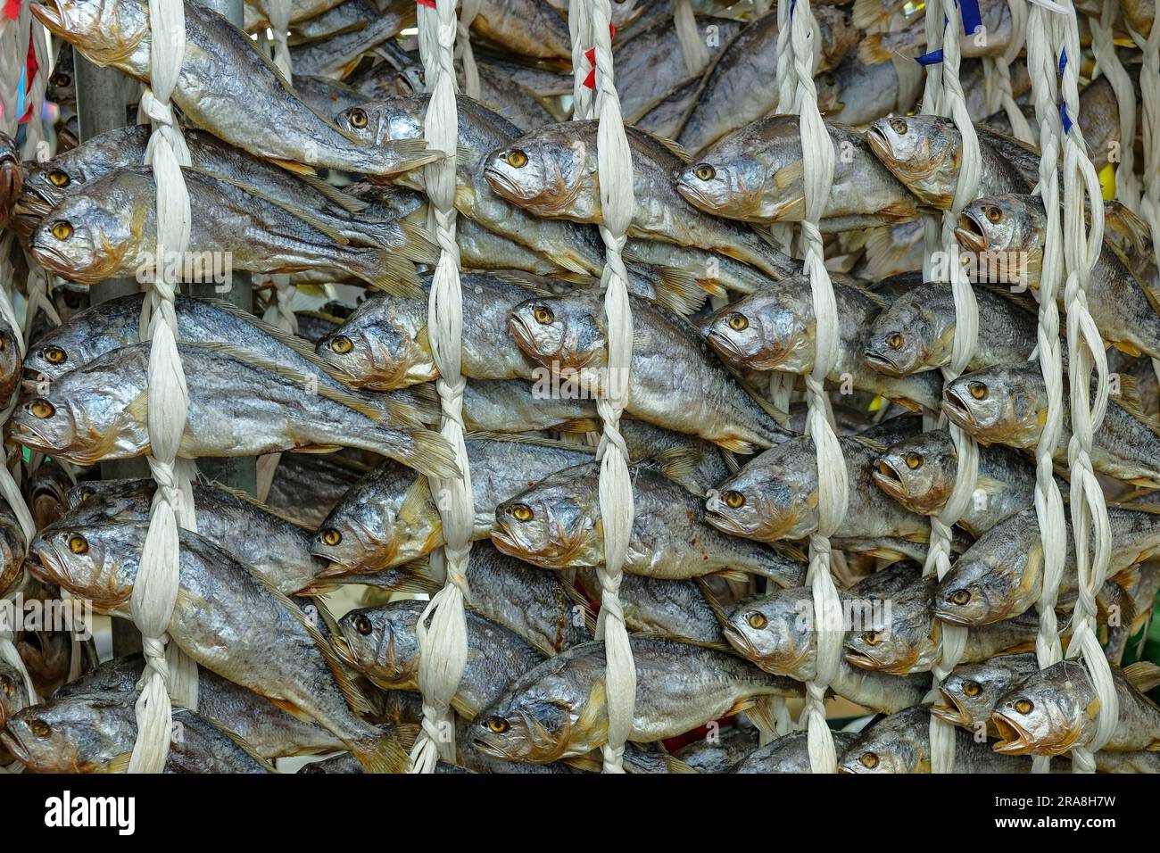 Dried fish at the Gyeongdong Market in Seoul, South Korea Stock Photo