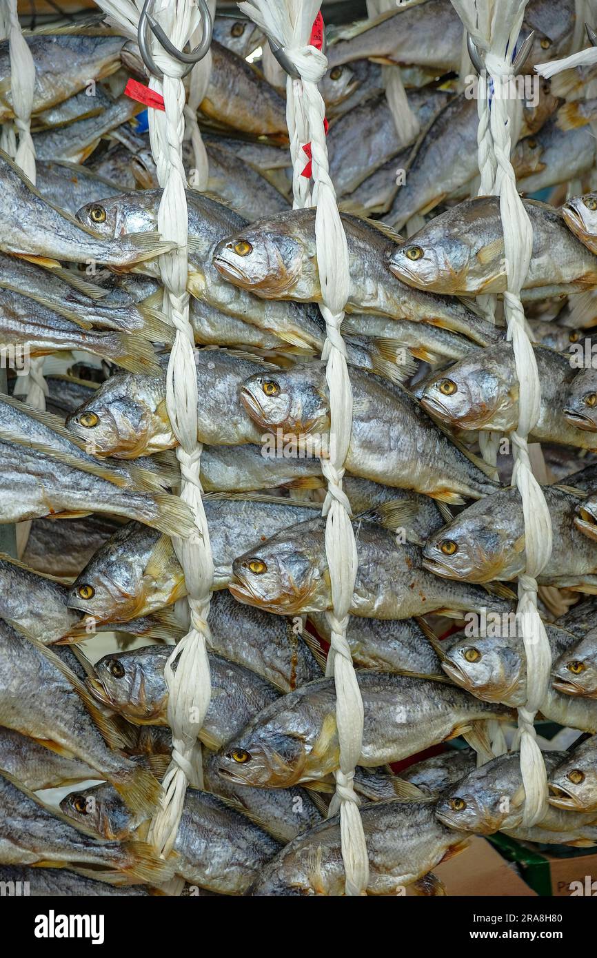 Dried fish at the Gyeongdong Market in Seoul, South Korea Stock Photo