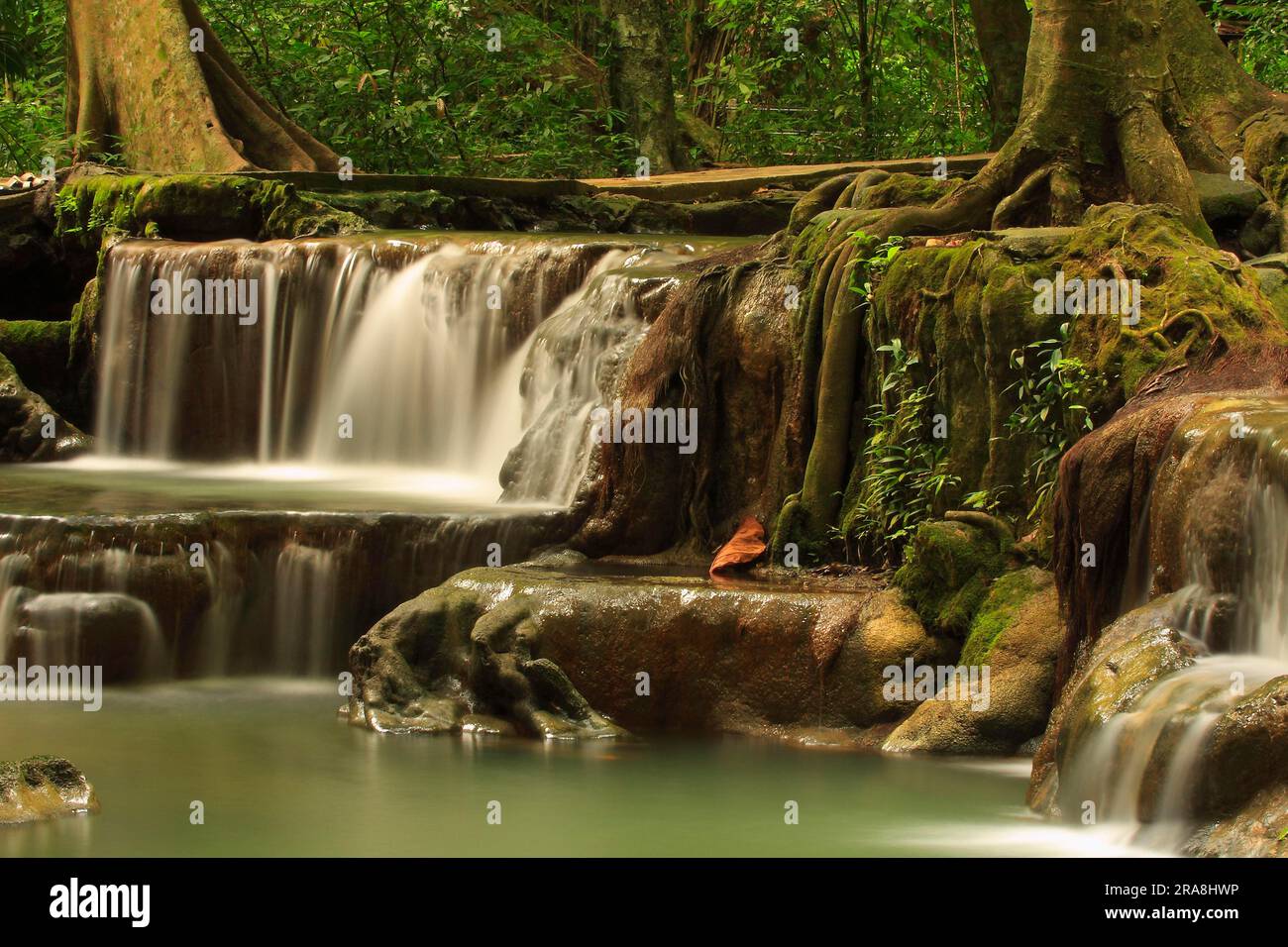 Than Bok Khorani National Park Hi res Stock Photography And Images Alamy than-bok-khorani-national-park-hi-res-stock-photography-and-images-alamy
