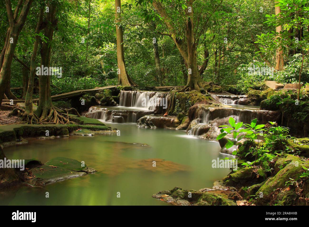 Forest Stream Than Bok Khorani National Park Near Krabi Thailand forest-stream-than-bok-khorani-national-park-near-krabi-thailand