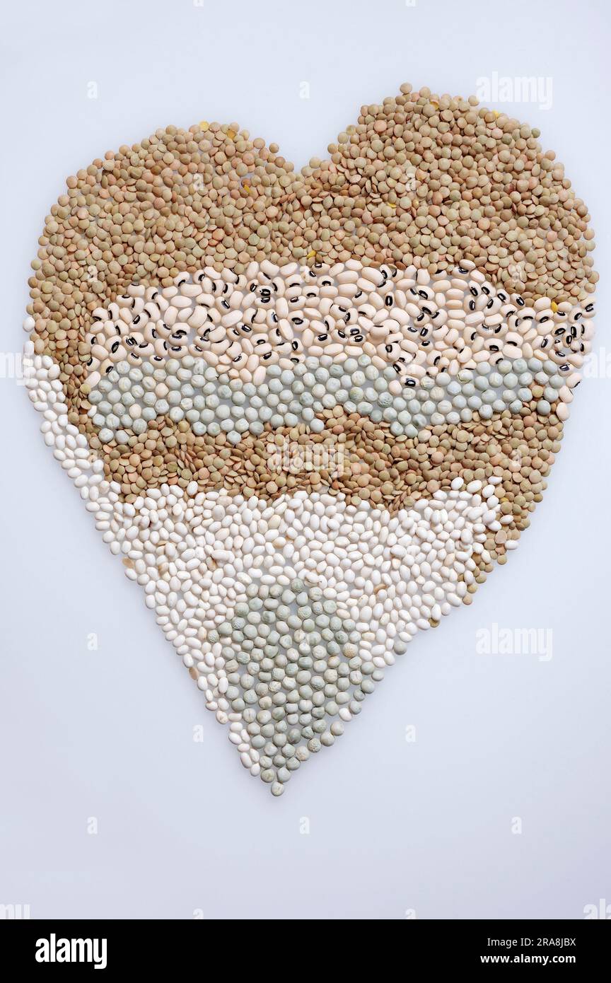 Heart, brown lentil (Lens esculenta), white bean (Phaseolus vulgaris