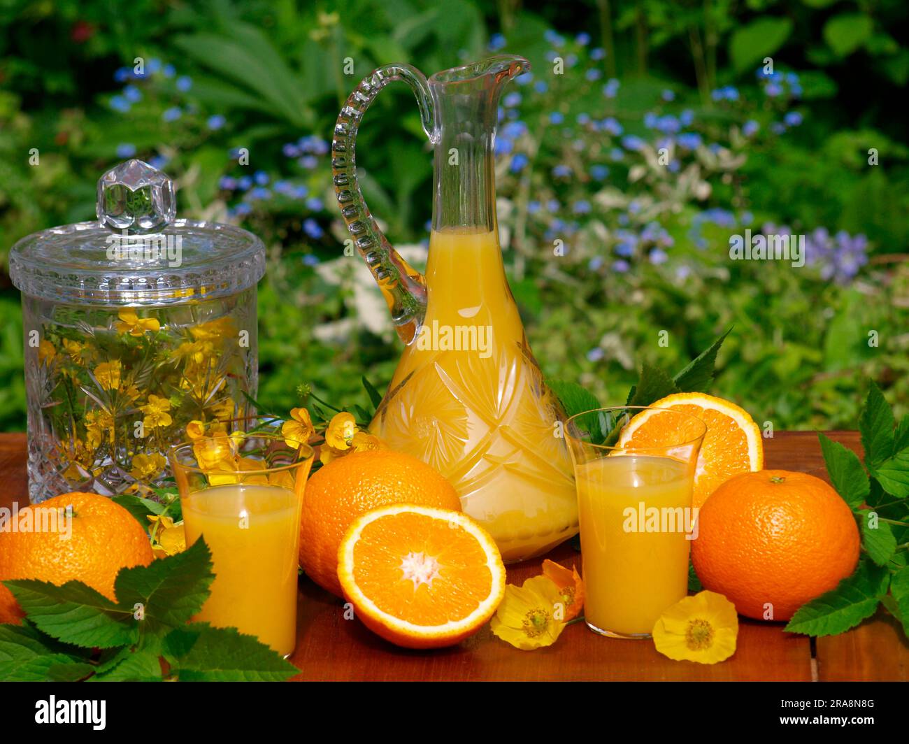 Oranges, glass with orange juice and carafe Stock Photo Alamy