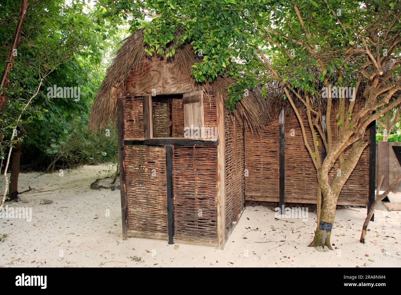 Traditional Cayman Cuisine, Cayman Islands, Grand Cayman, Caribbean