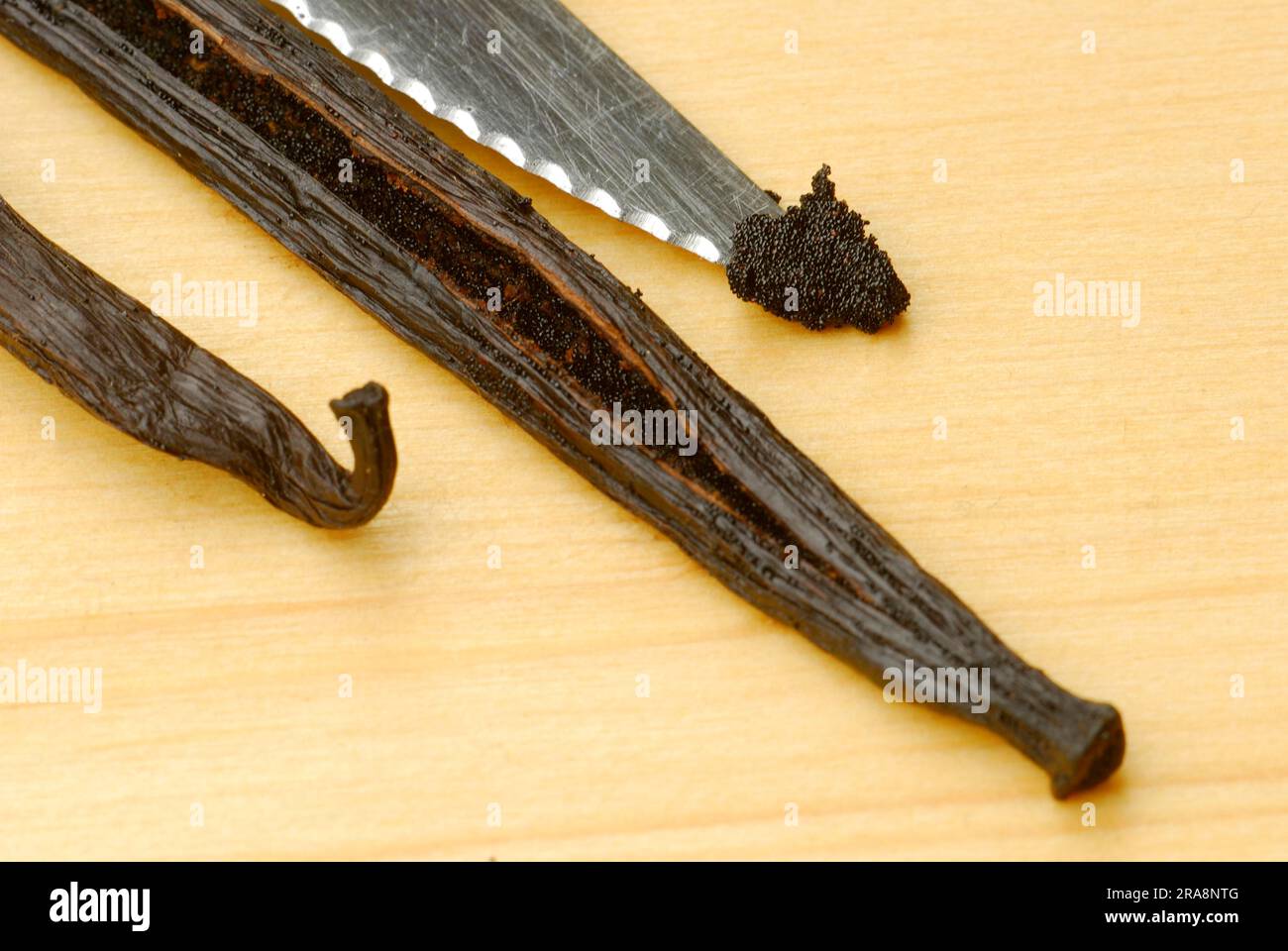 Vanilla beans, vanilla pulp on the tip of a knife (Vanilla planifolia