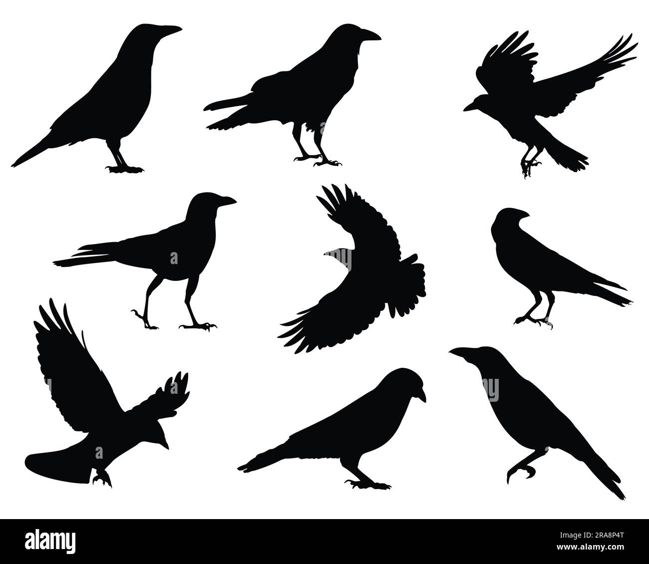 Set of Crow Silhouette Stock Vector