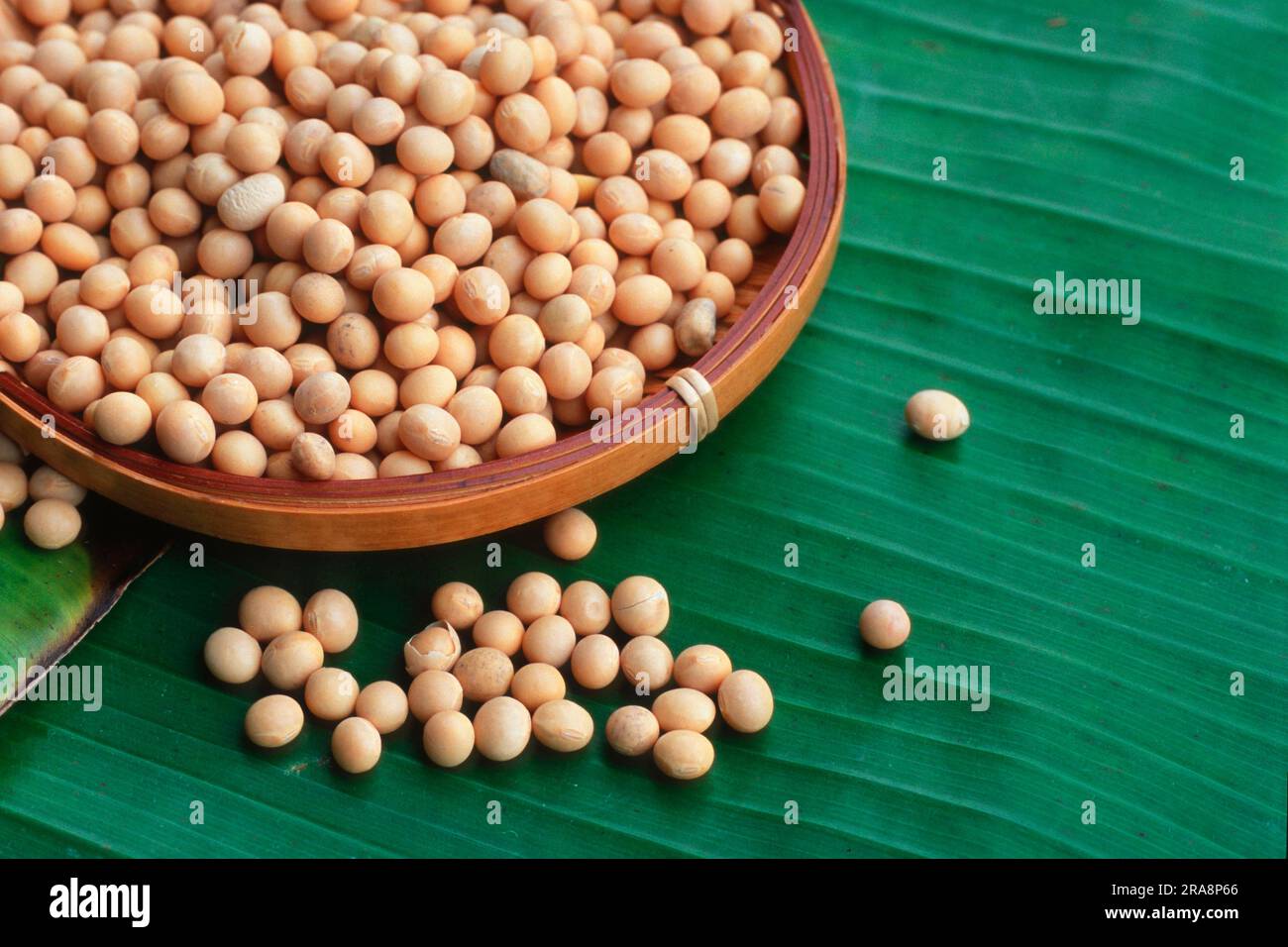 Soya beans, soya bean Stock Photo