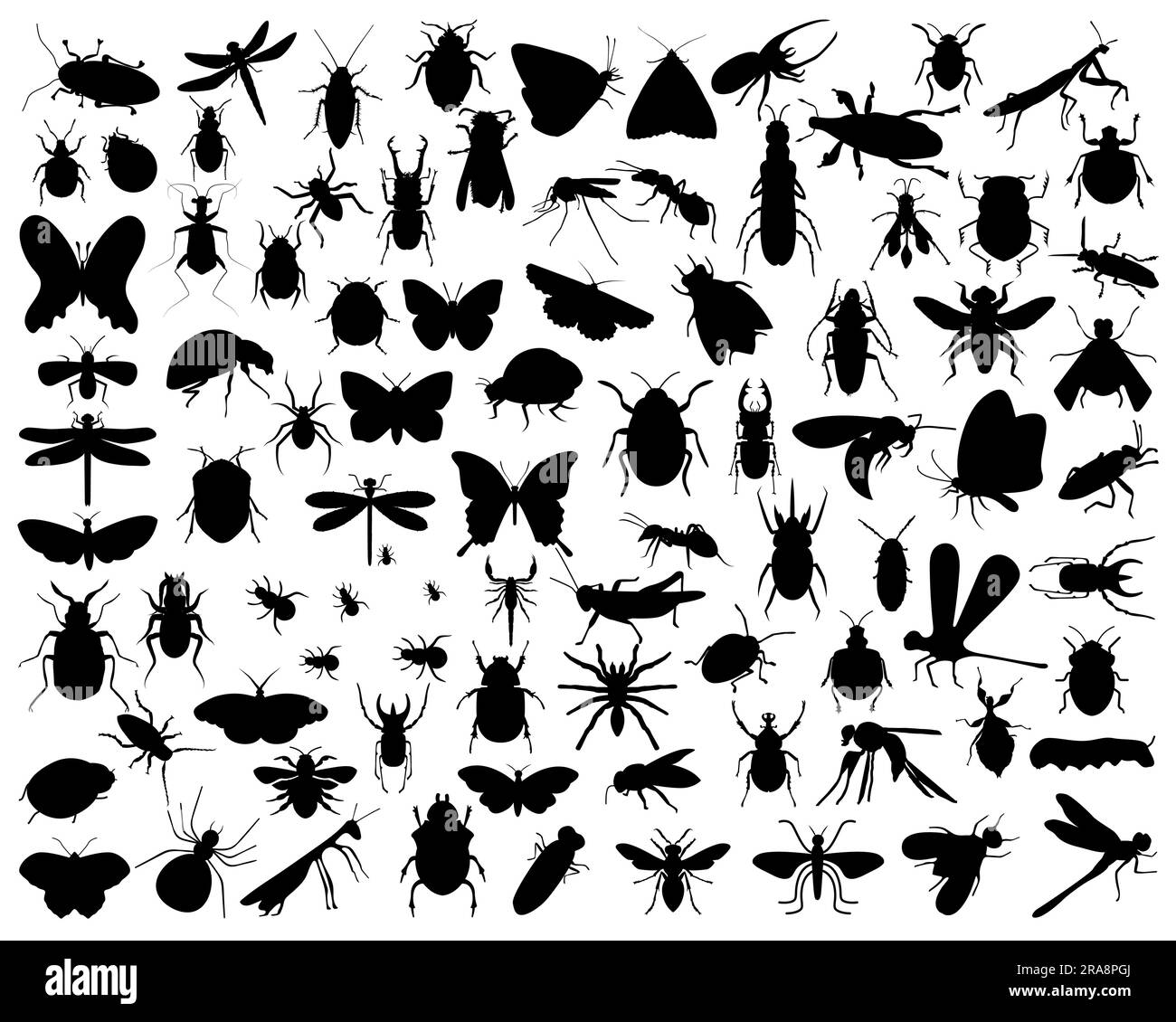 Set of Insects Silhouette Stock Vector