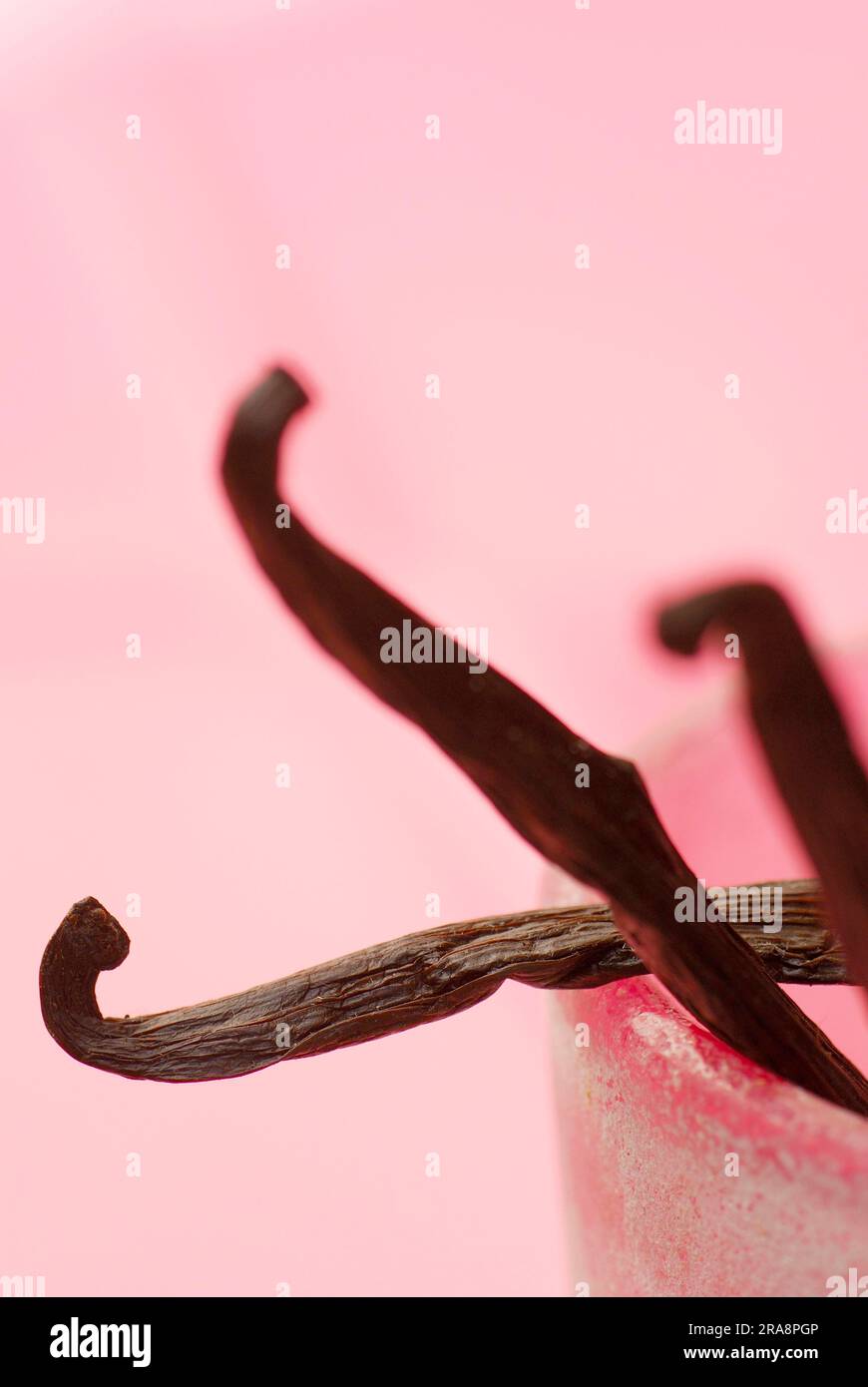 Vanilla beans (Vanilla planifolia Stock Photo Alamy