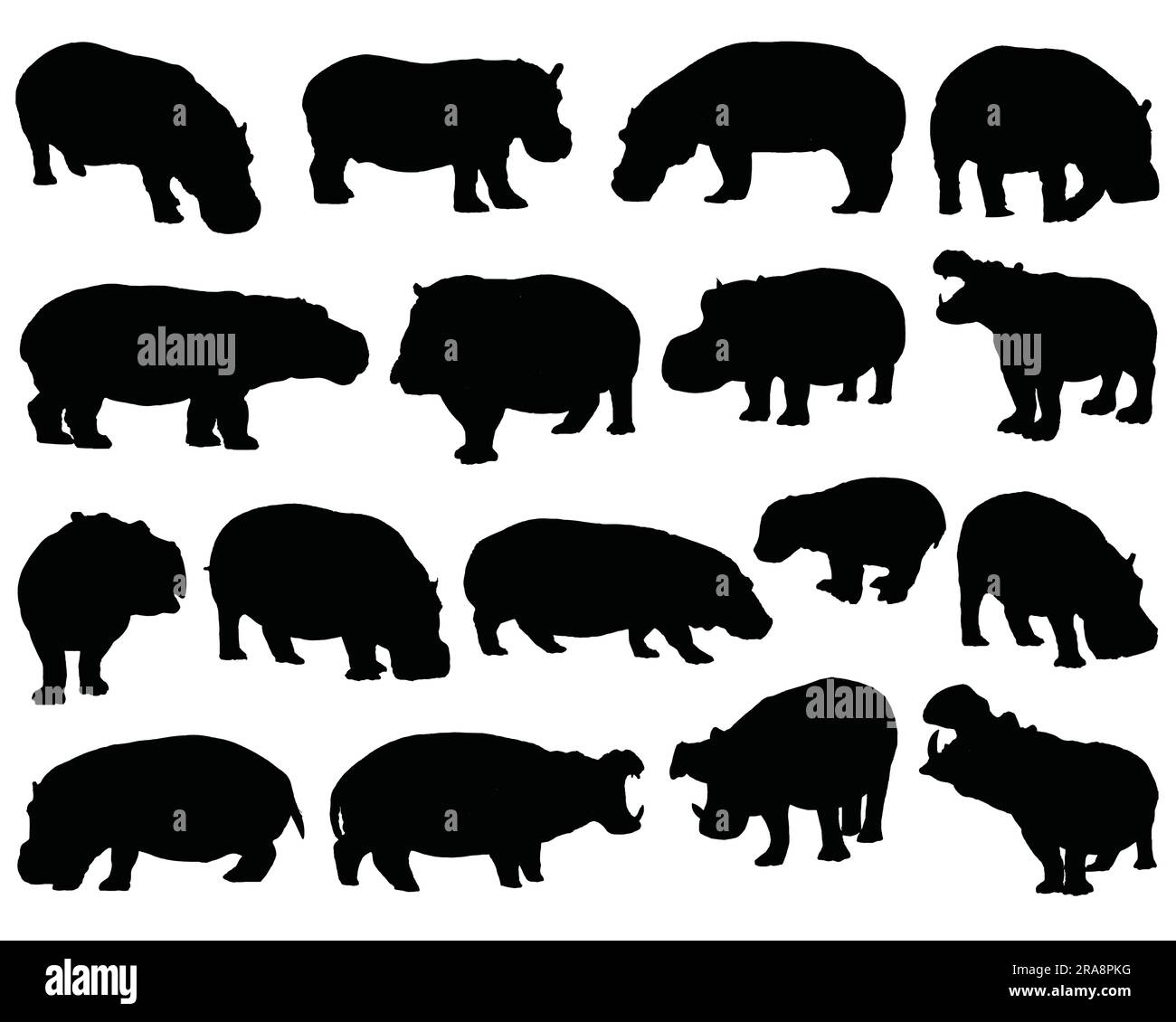 Set of Hippopotamus Silhouette Stock Vector