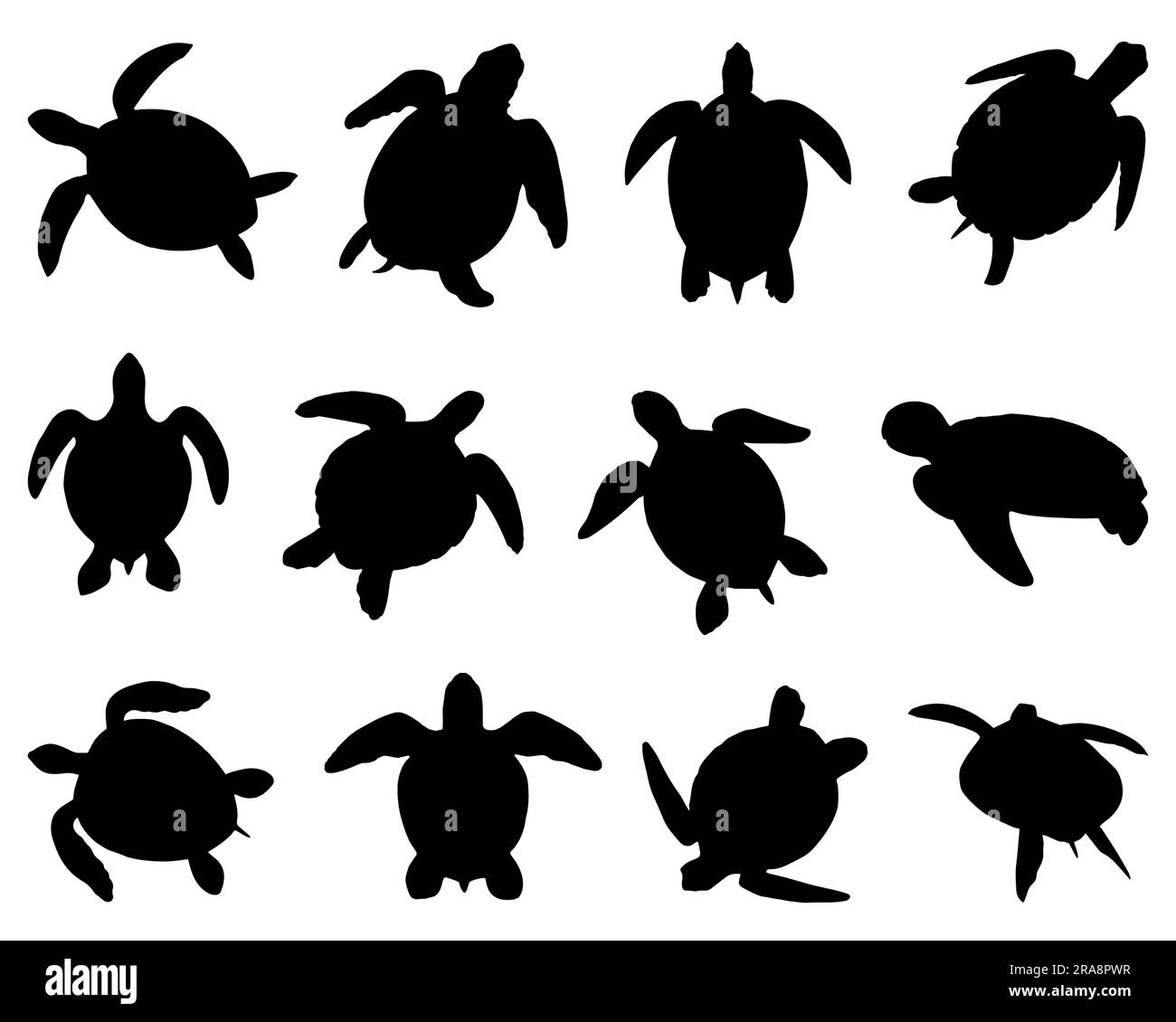 Set of Sea Turtle Silhouette Stock Vector Image & Art - Alamy