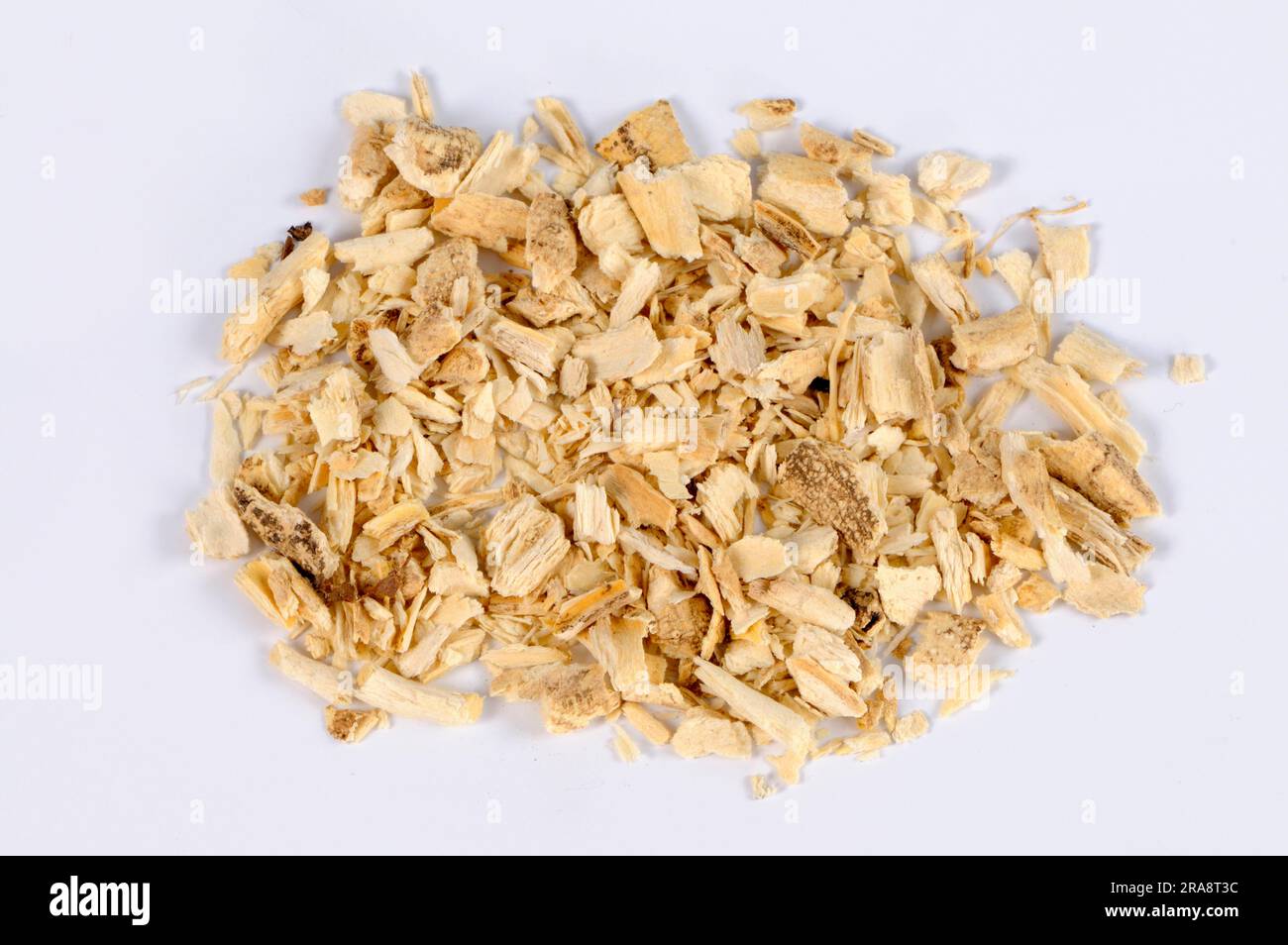 Burning bush, dried roots, diptam, ashroot (Dictamnus albus), freehand ...