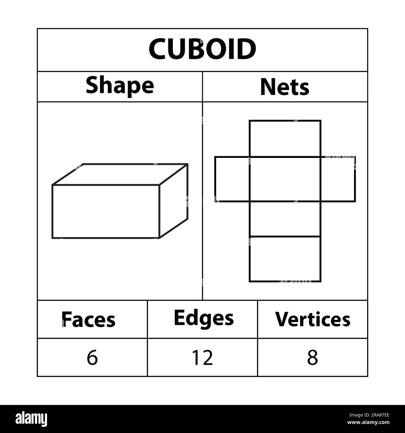 Cuboid nets, faces, edges, and vertices. Geometric figures. in mathematics.  are set isolated on a white backdrop. Geometric 3d shapes nets. vector  Stock Vector Image & Art - Alamy