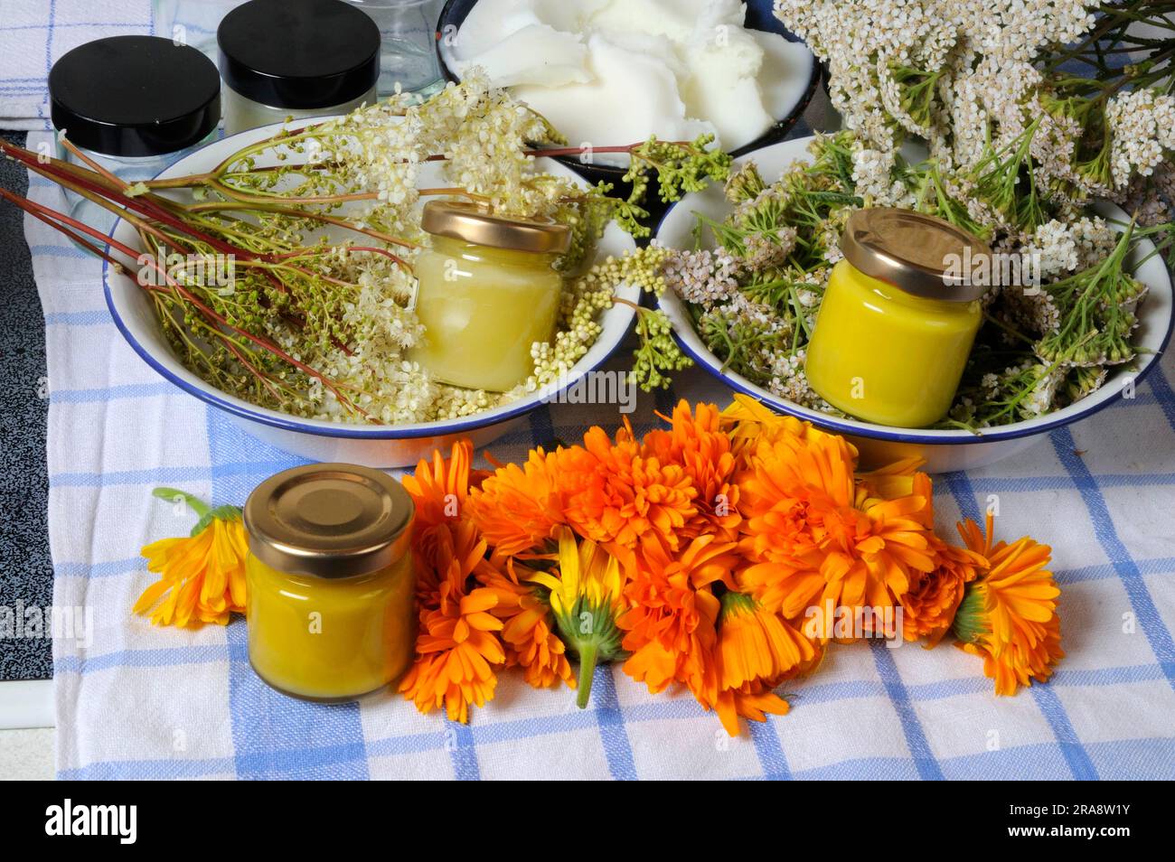 Preparation of meadowsweet ointment, marigold ointment and yarrow