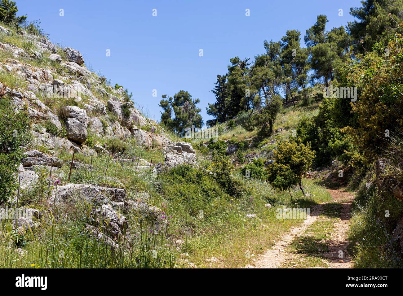 Mount Meron is a mountain in the Upper Galilee region of Israel. It has special significance in Jewish religious tradition and parts of it have been d Stock Photo
