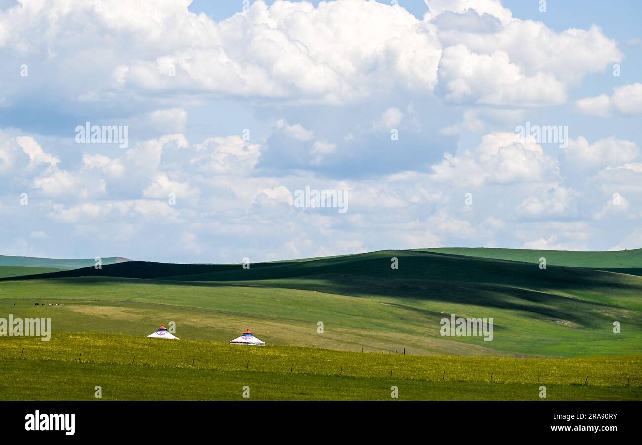 Hulun Buir. 1st July, 2023. This photo taken on July 1, 2023 shows two yurts on the grassland in Hulun Buir, north China's Inner Mongolia Autonomous Region. Credit: Lian Zhen/Xinhua/Alamy Live News Stock Photo