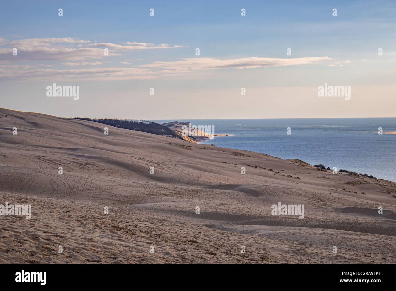 Biggest dune in europe hires stock photography and images Alamy