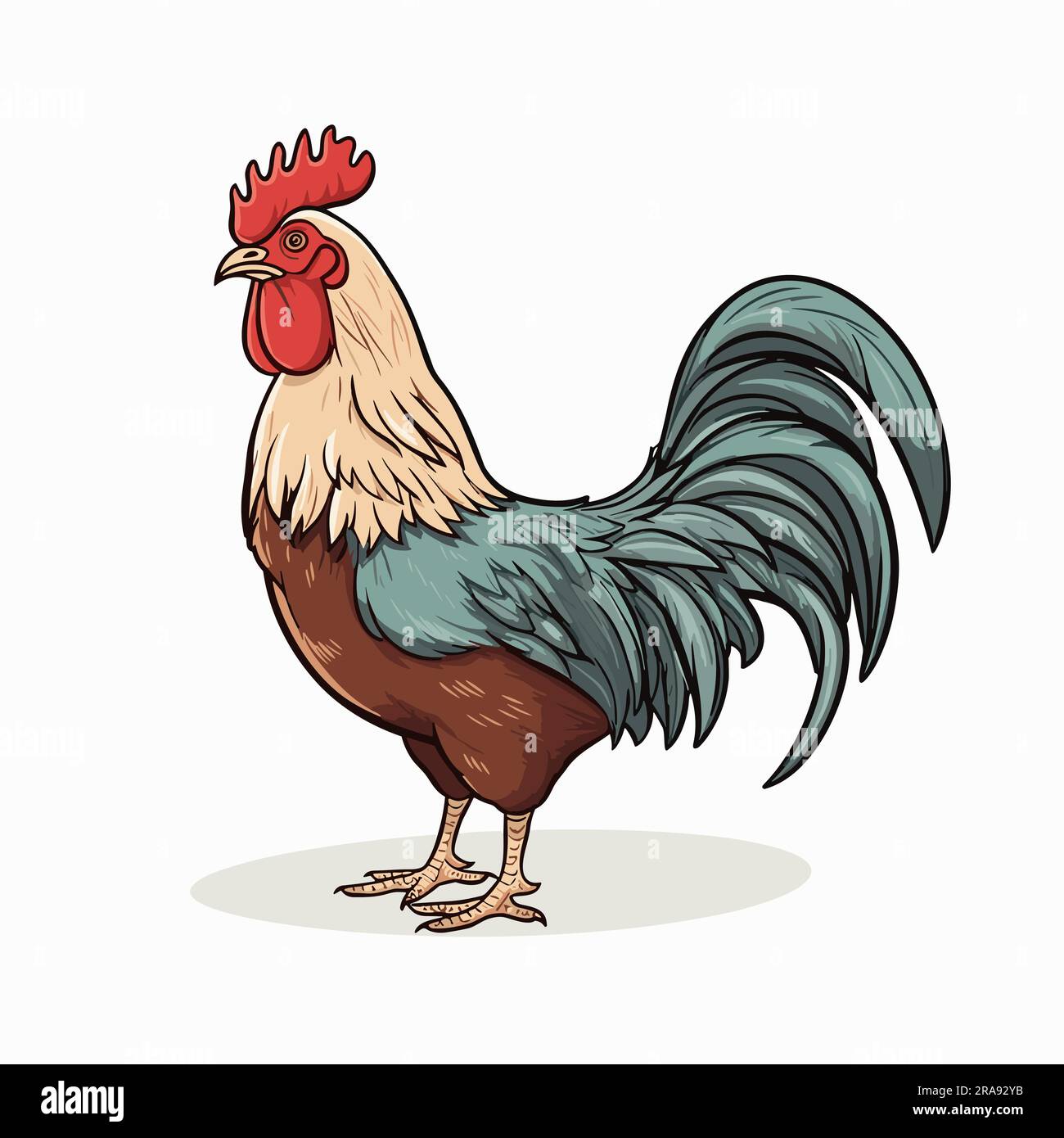 Cock. Cock hand-drawn illustration. Vector doodle style cartoon  illustration Stock Vector Image & Art - Alamy