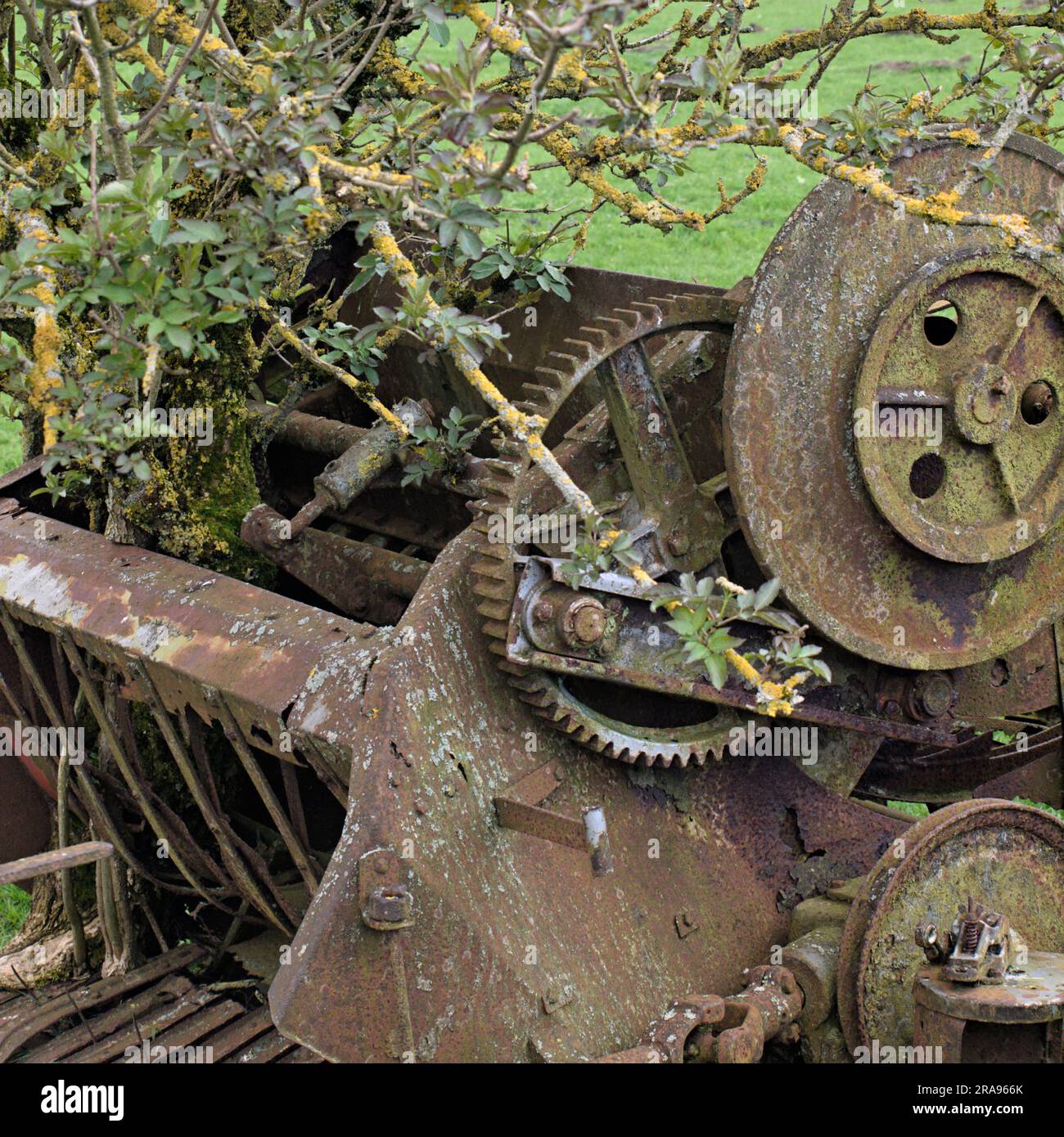 Rusting agricultural machinery in fields below Binn Moor near Rams Clough, Wessenden Valley, Marsden. Stock Photo
