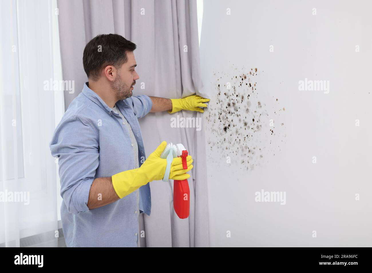 Man in rubber gloves with mold remover and brush near wall in room Stock Photo