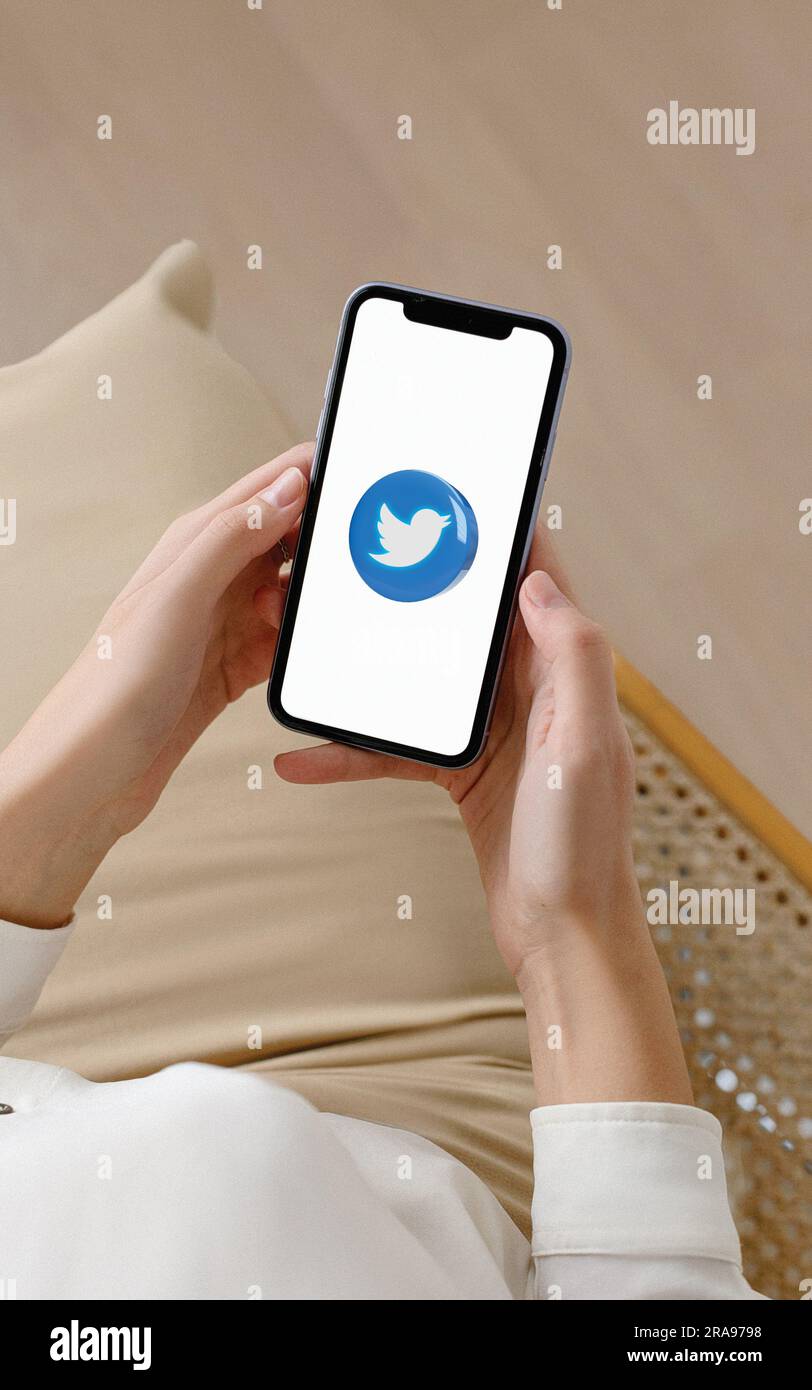 Twitter logo is displayed on the screen. Twitter logo on black or white