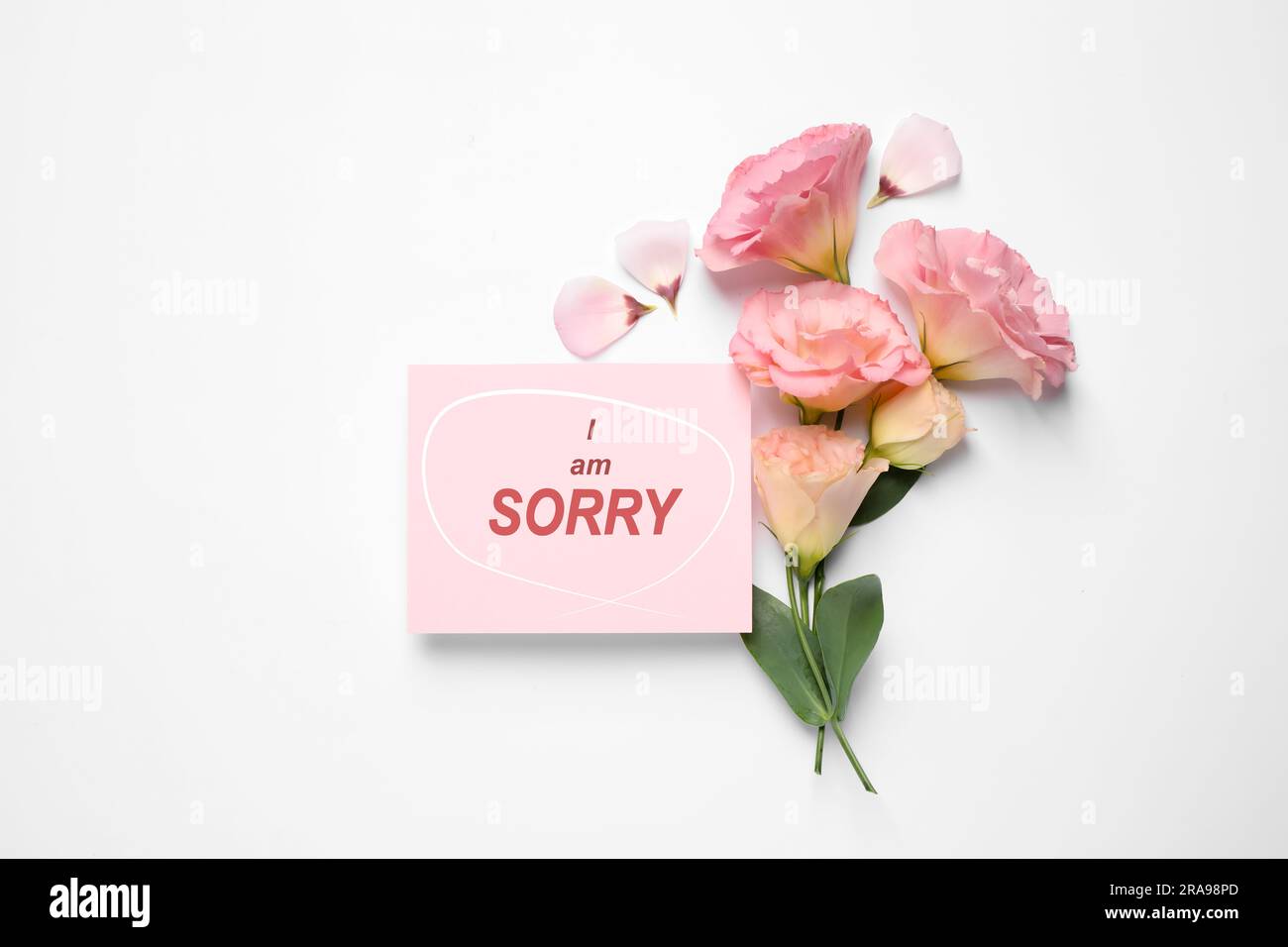 Apology. Pink card with circled phrase I Am Sorry and beautiful Eustoma