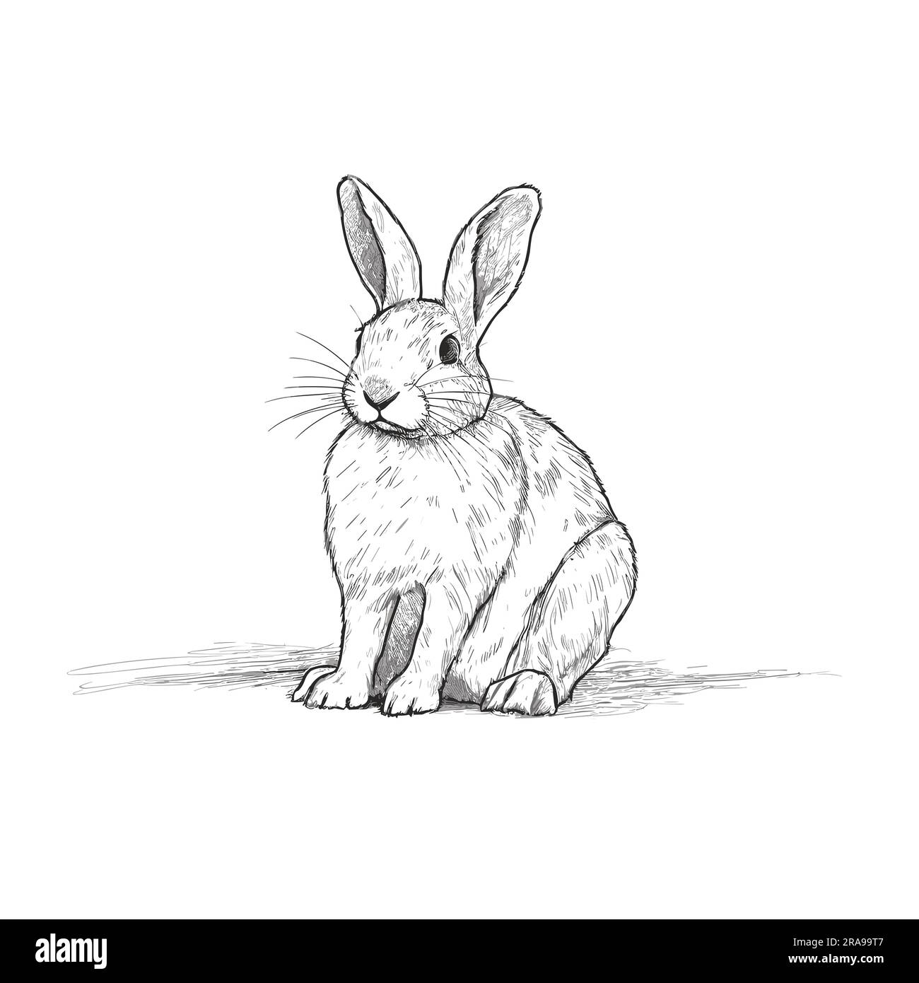 Rabbit buck. Rabbit buck handdrawn illustration. Vector doodle style