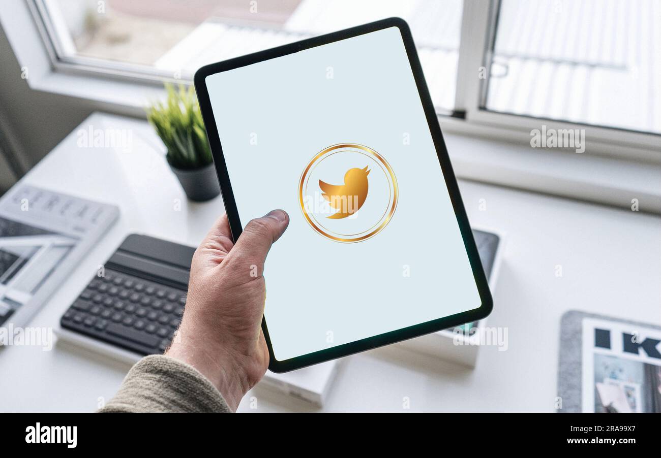 Twitter logo is displayed on the screen. Twitter logo on black or white