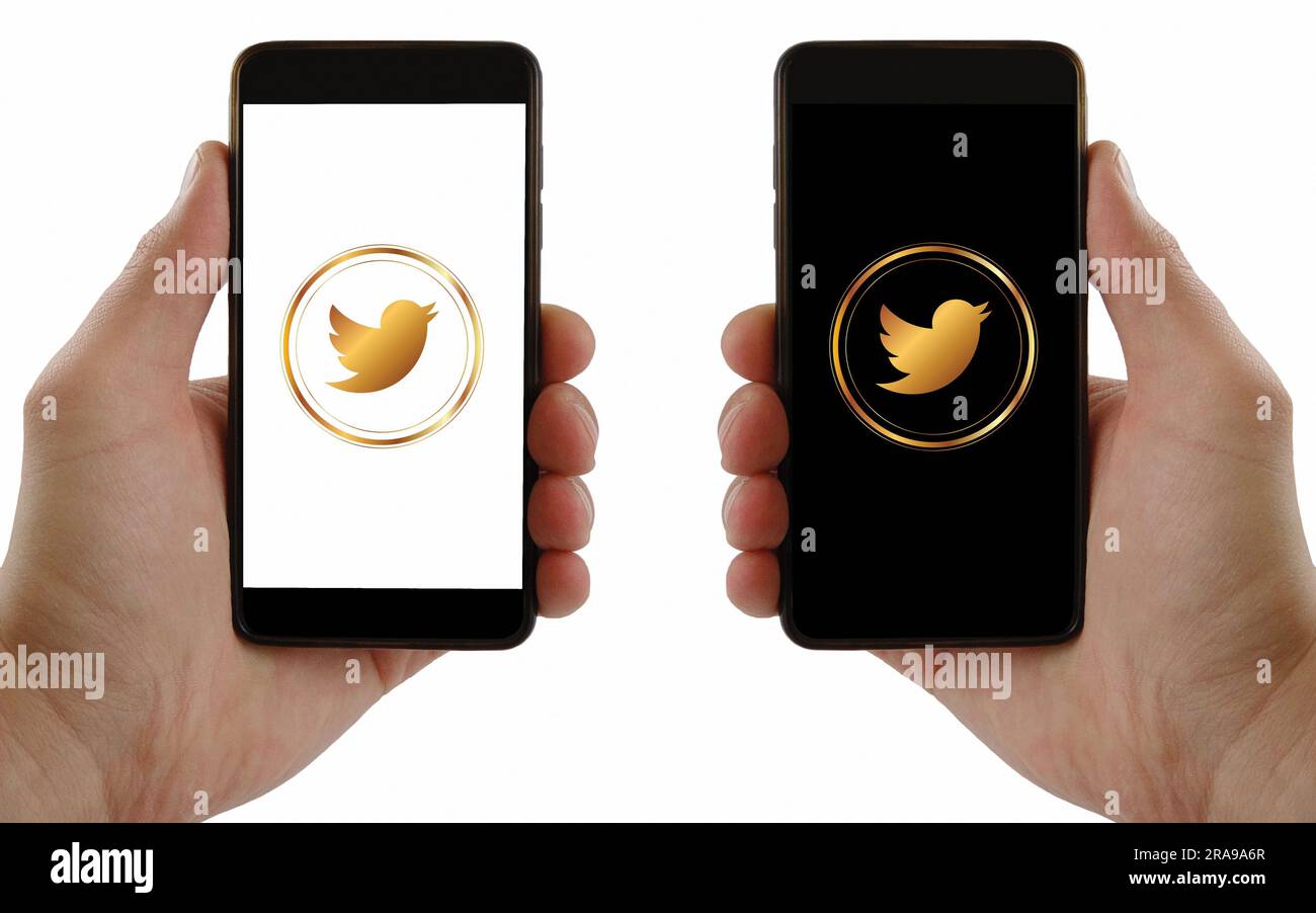 Twitter logo is displayed on the screen. Twitter logo on black or white