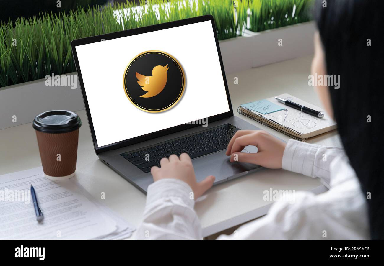 Twitter logo is displayed on the screen. Twitter logo on black or white