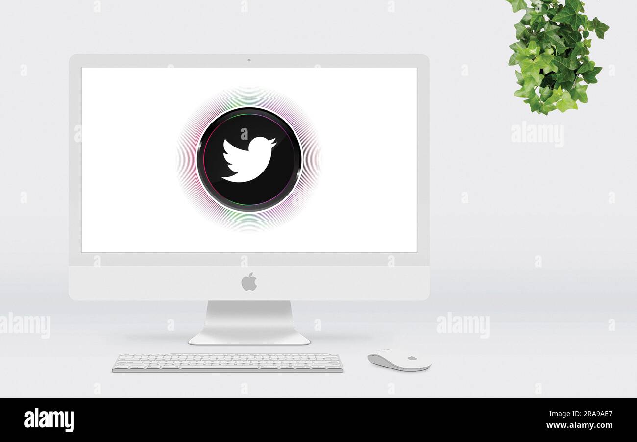 Twitter logo is displayed on the screen. Twitter logo on black or white