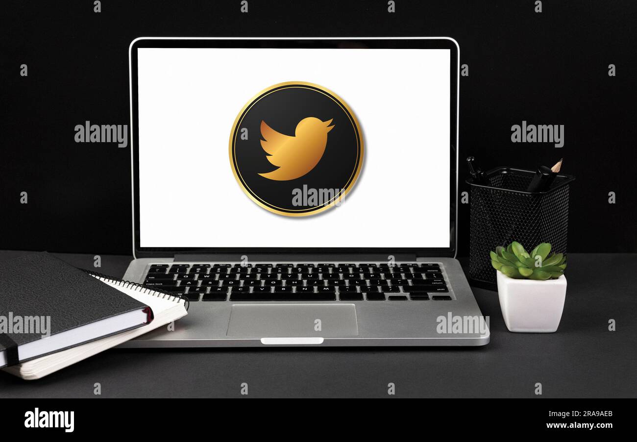 Twitter logo is displayed on the screen. Twitter logo on black or white