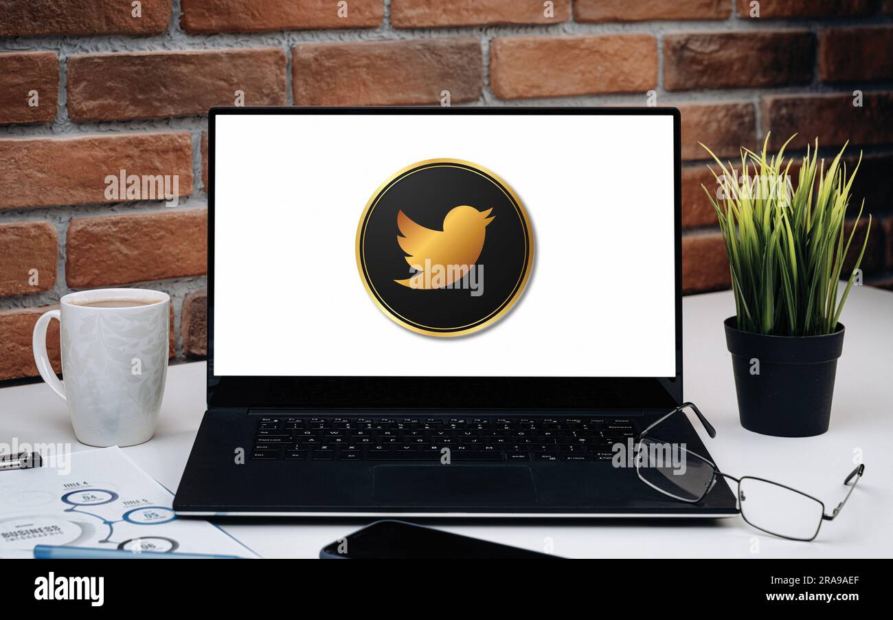Twitter logo is displayed on the screen. Twitter logo on black or white