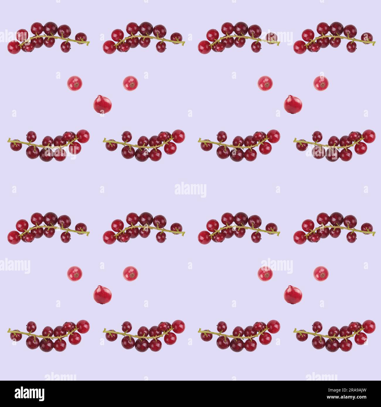 Pattern background, red currant berries, isolate Stock Photo - Alamy