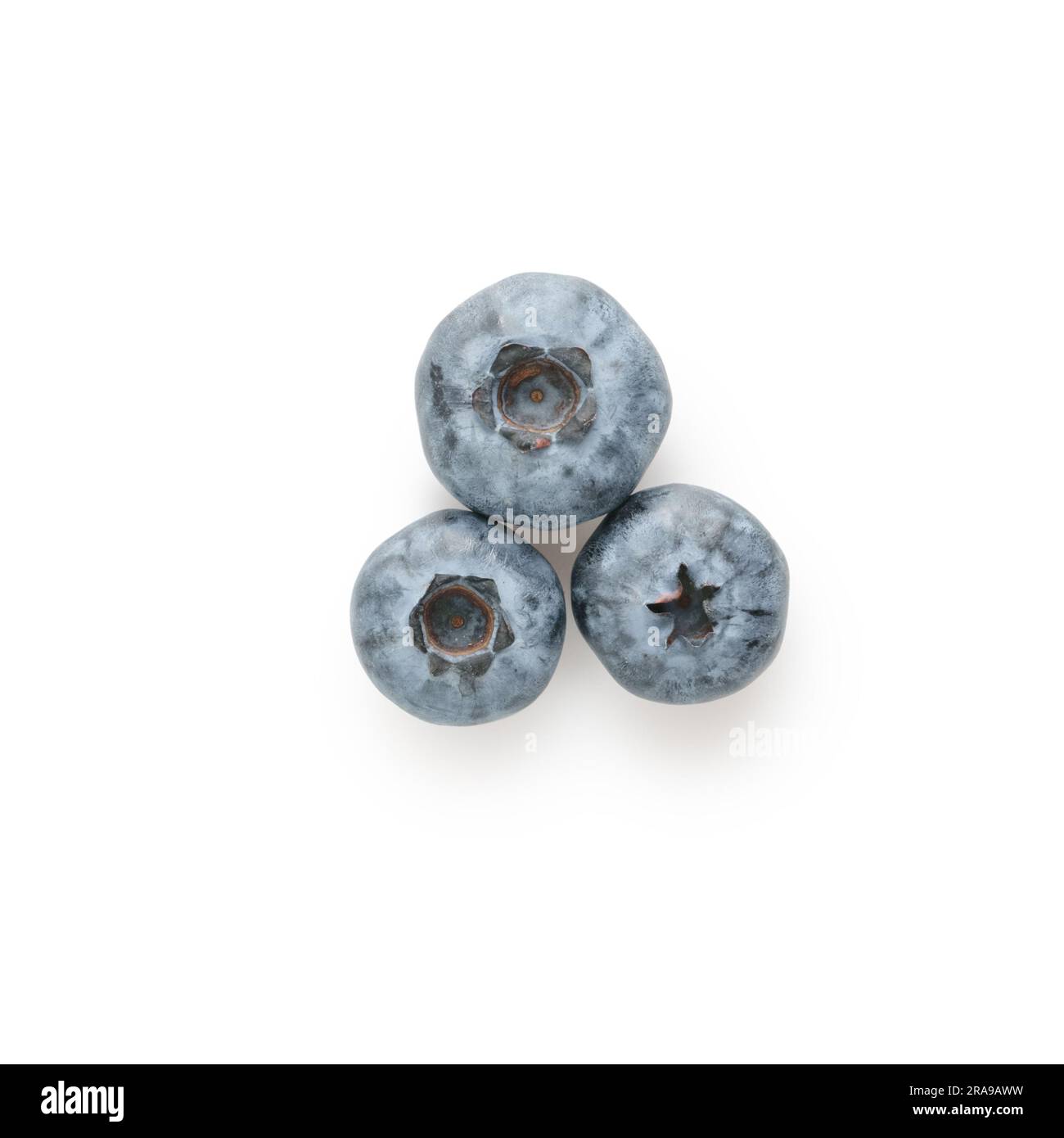 Fresh organic blueberries top view shot on white background, isolated ...