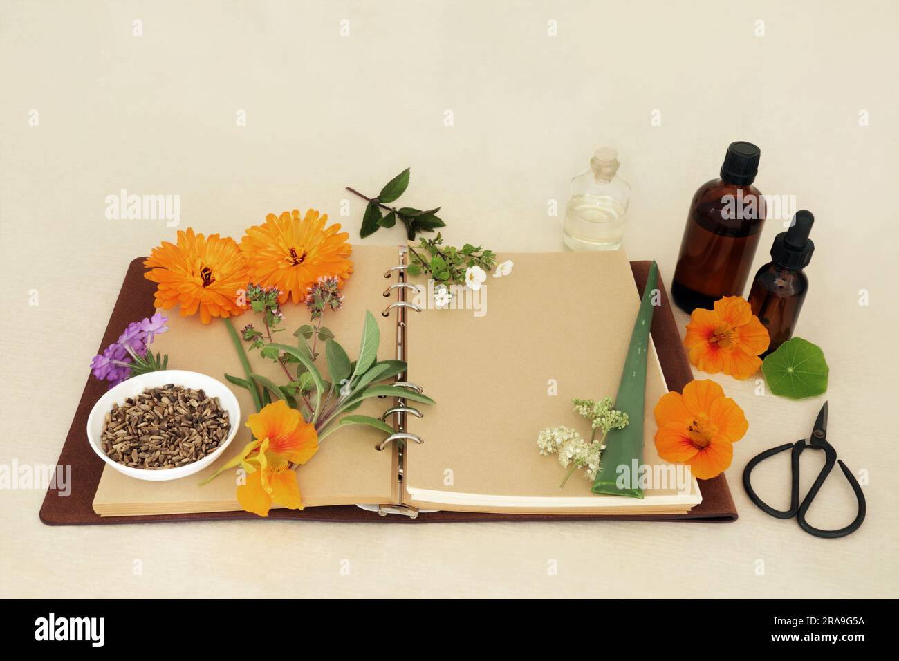 Natural herbal medicine with herbs and flowers, notebook and aromatherapy essential oil bottles. For alternative homeopathic and naturopathic medicine. Stock Photo