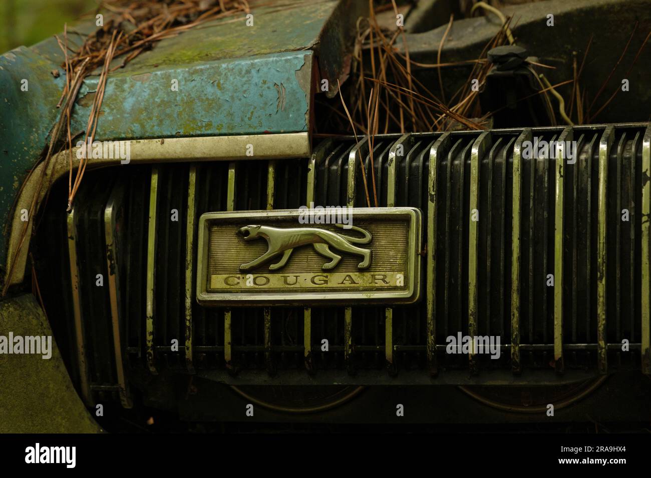Old vintage wrecked cougar car hi-res stock photography and images - Alamy