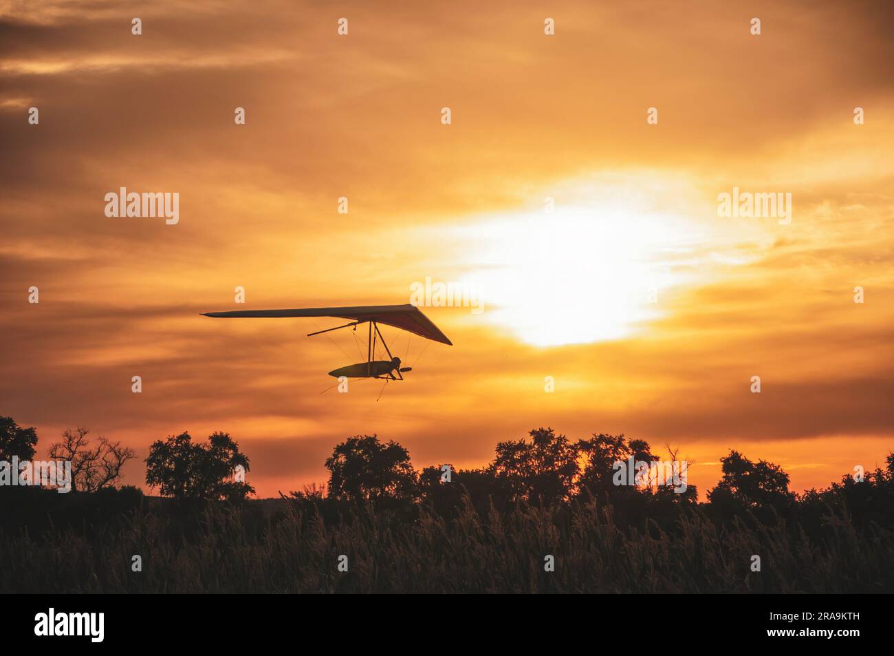 Hangglider silhouette at the sunset. Hang glider flies low over trees Stock Photo