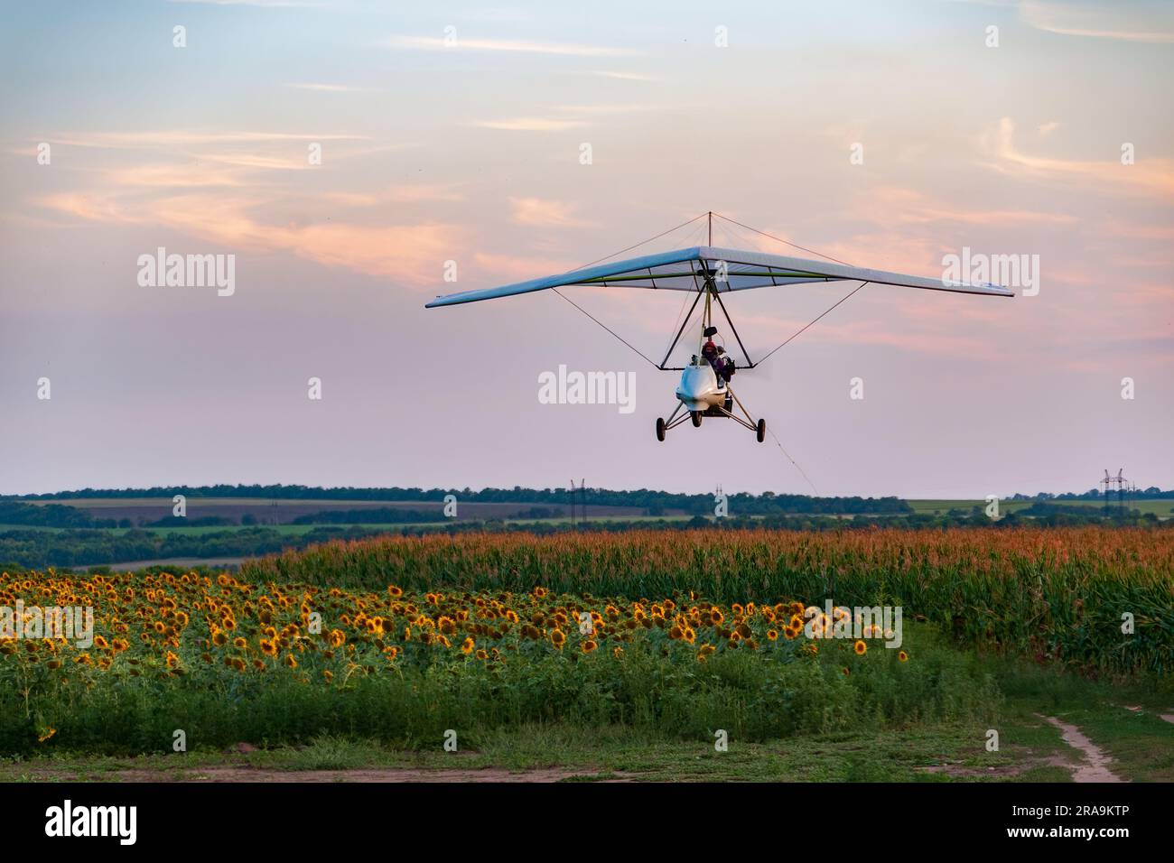 White motorized hang glider flies low above sunflower field at the sunset in Ukraine Stock Photo