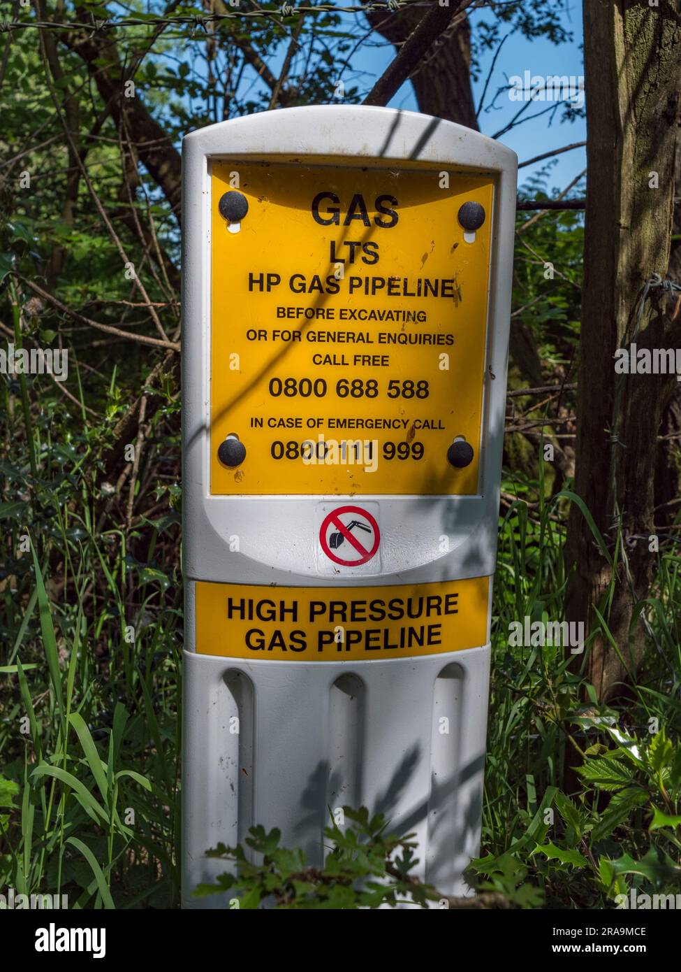 A HP Gas Pipeline marker post in Kemsley Wood near Hedgerley village