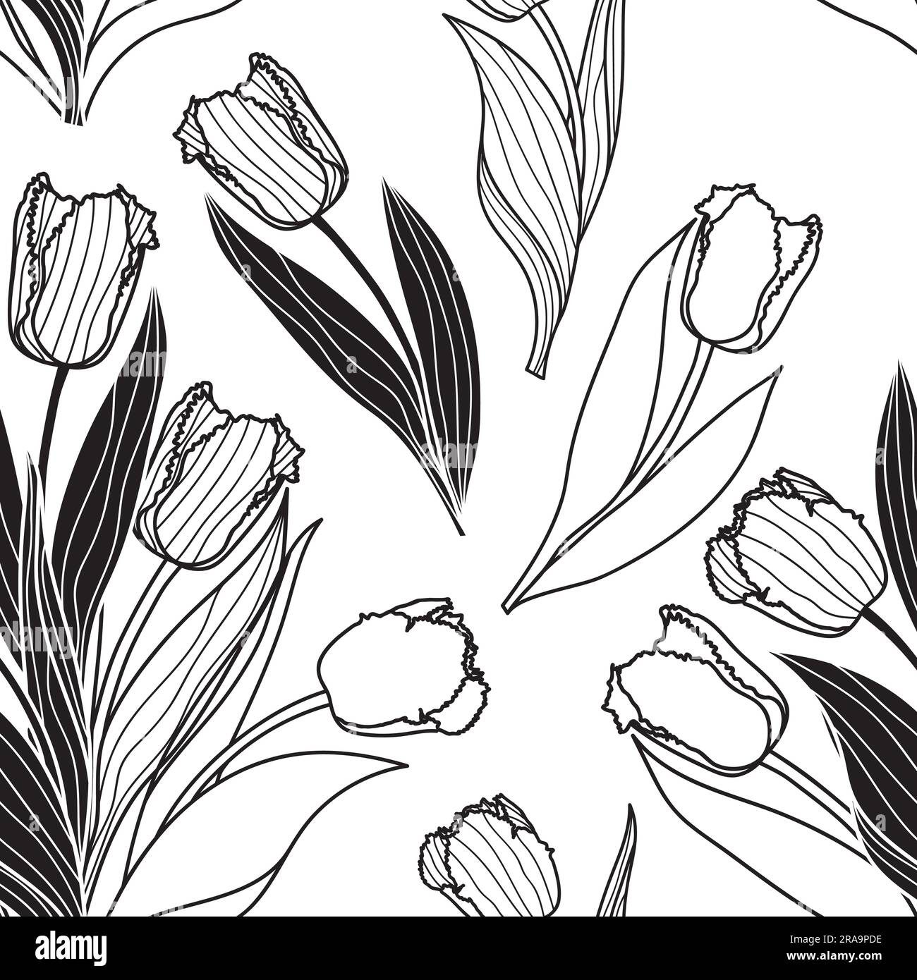 Vector seamless pattern with tulip flowers. Spring floral background ...