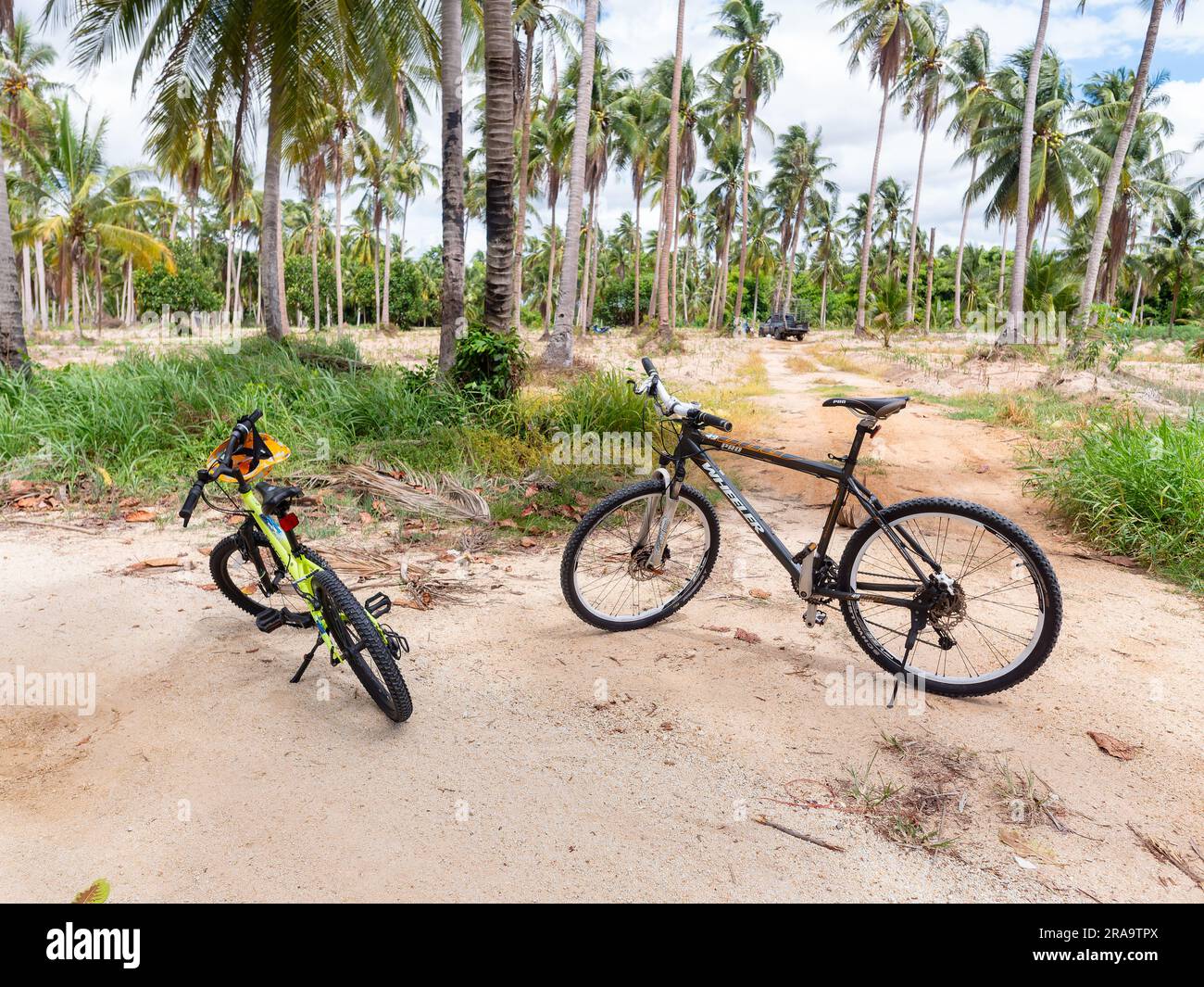 Two offroad bicycles on a dirt road through a coconut plantation in Chonburi Province, Thailand. Shallow depth of field with the bicycles in focus and Stock Photo