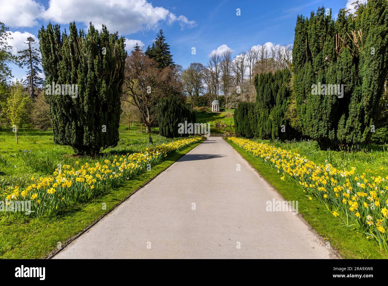 Yew tree walk with view of Lady Alice Temple in the grounds of Hillsborough Palace, formerly known as Hillsborough Castle, Co. Down, Northern Ireland. Stock Photo