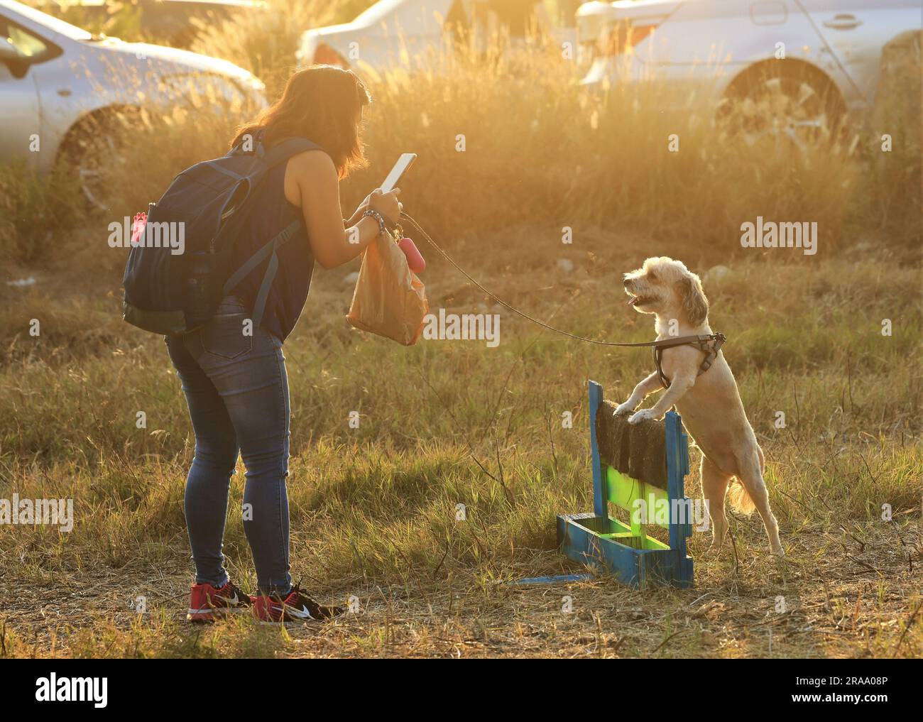 Beirut, Lebanon. 1st July, 2023. A woman takes photos of a dog during