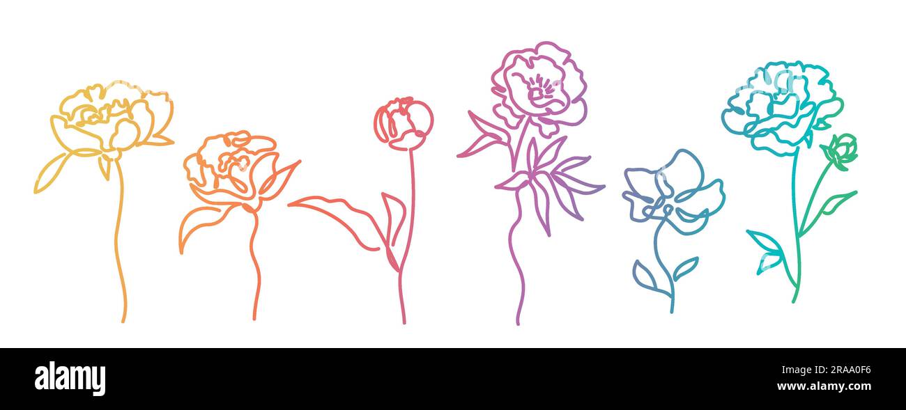 Vector illustration set of nature, flower. Hand drawn vector ...