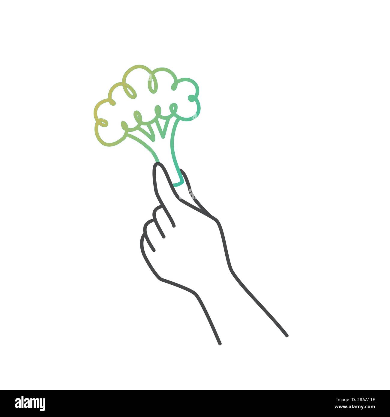 Human Hand Holding Broccoli Balanced Healthy Food And Vegan Diet human-hand-holding-broccoli-balanced-healthy-food-and-vegan-diet