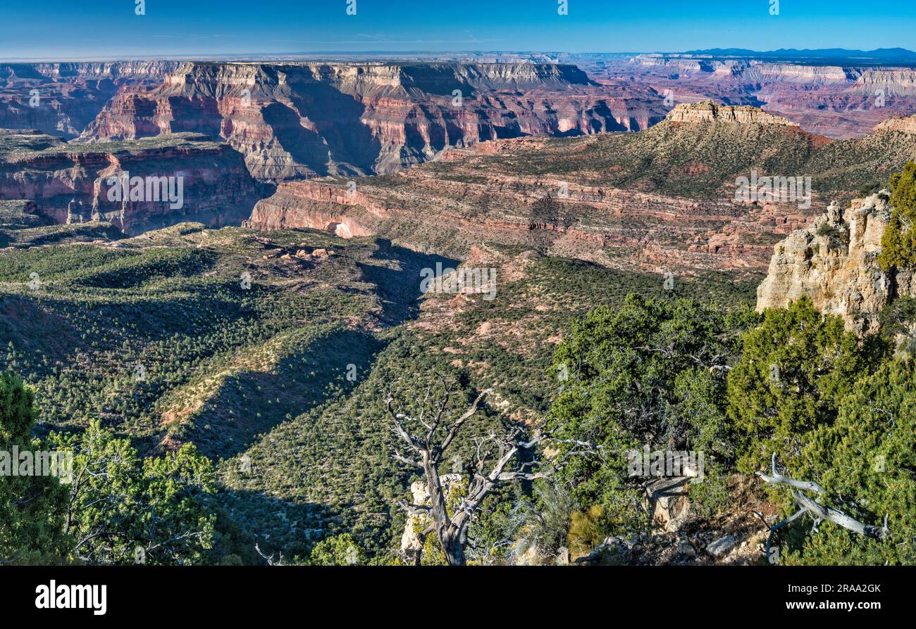 Grand Canyon, Tapeats Amphitheater area, view from Crazy Jug Point at
