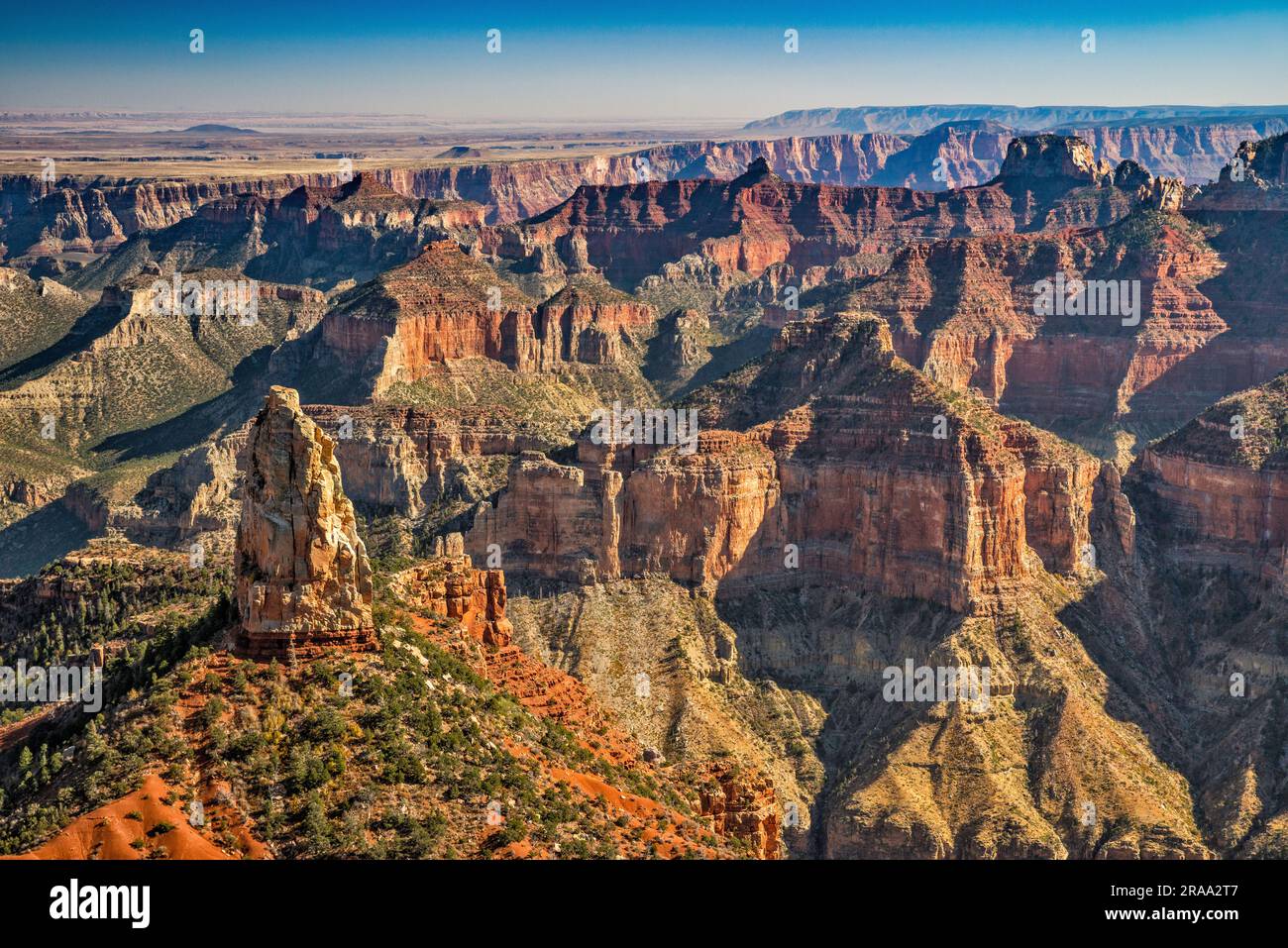 Point Imperial view, from Kaibab Plateau, North Rim, Grand Canyon